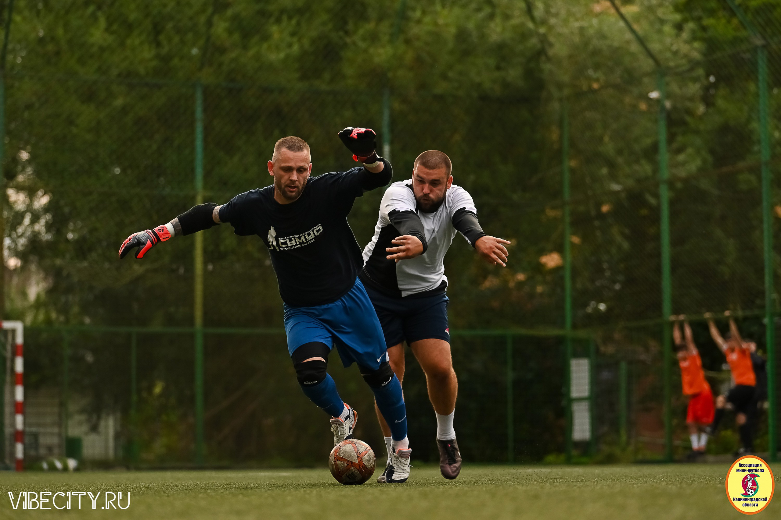 ИГРЫ МИНИ-ФУТБОЛЬНОЙ И КОРПОРАТИВНОЙ ЛИГИ. VIBECITY.RU Вайб Сити Ру Фоторепортажи Фотоотчеты Калининград