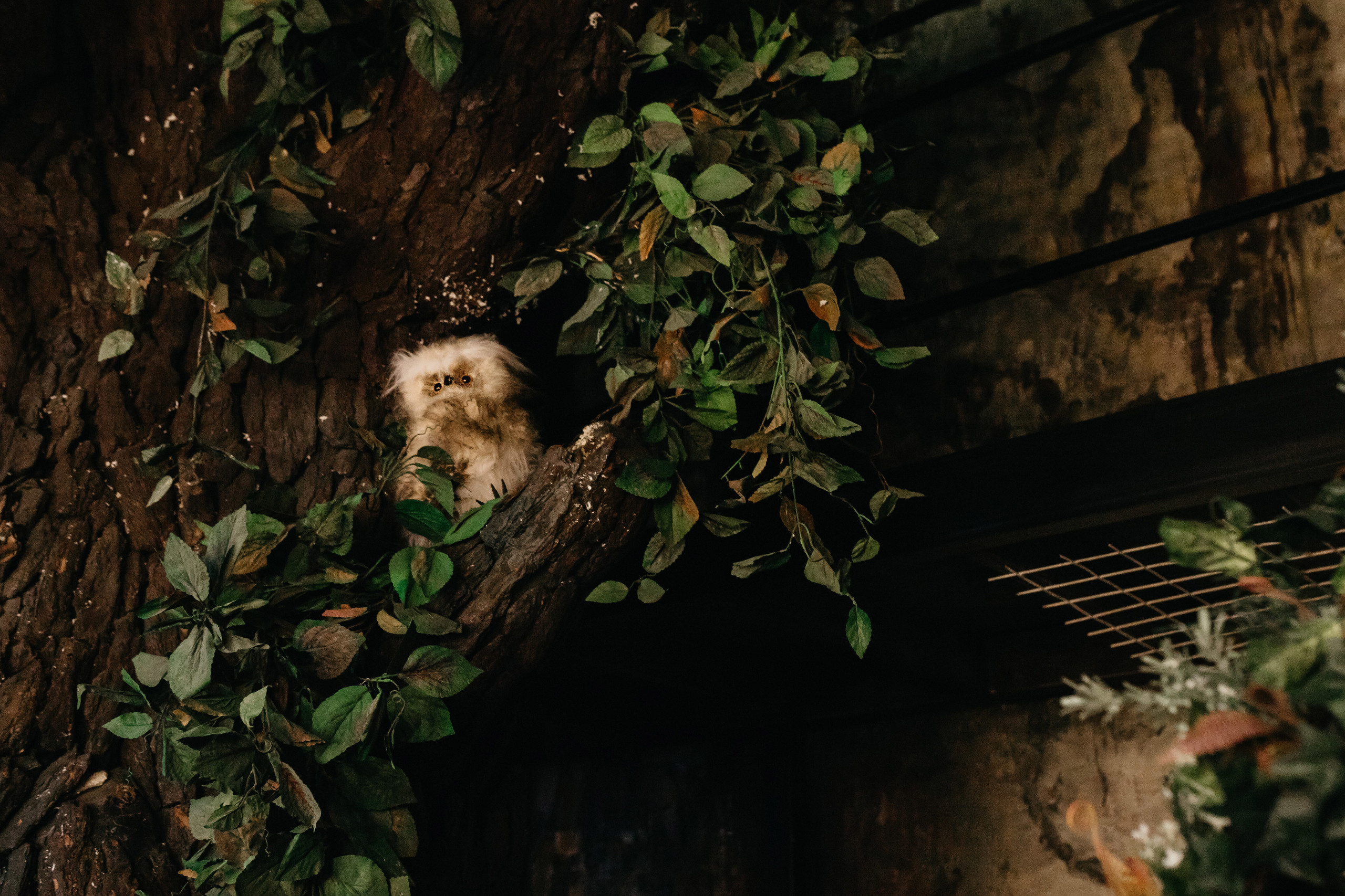 Коля, Алина и малышка Рита. Свадебный и семейный фотограф в Санкт-Петербурге Игорь Бабенко