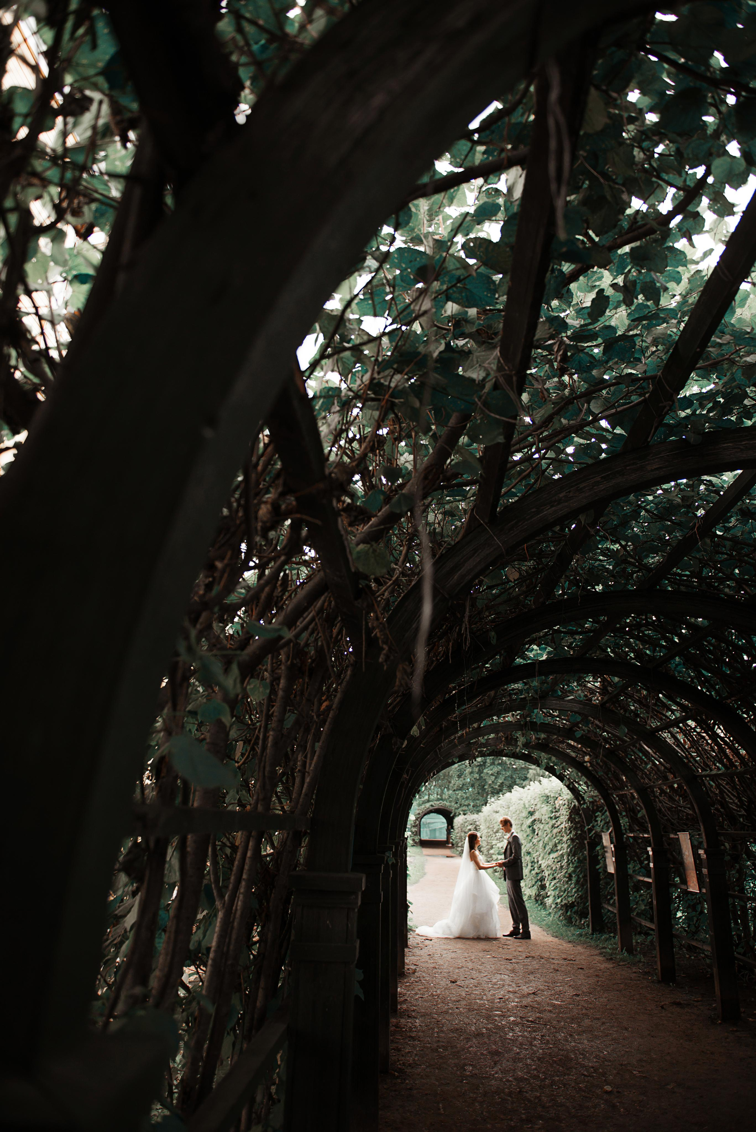 Фотограф Сергей Некрасов