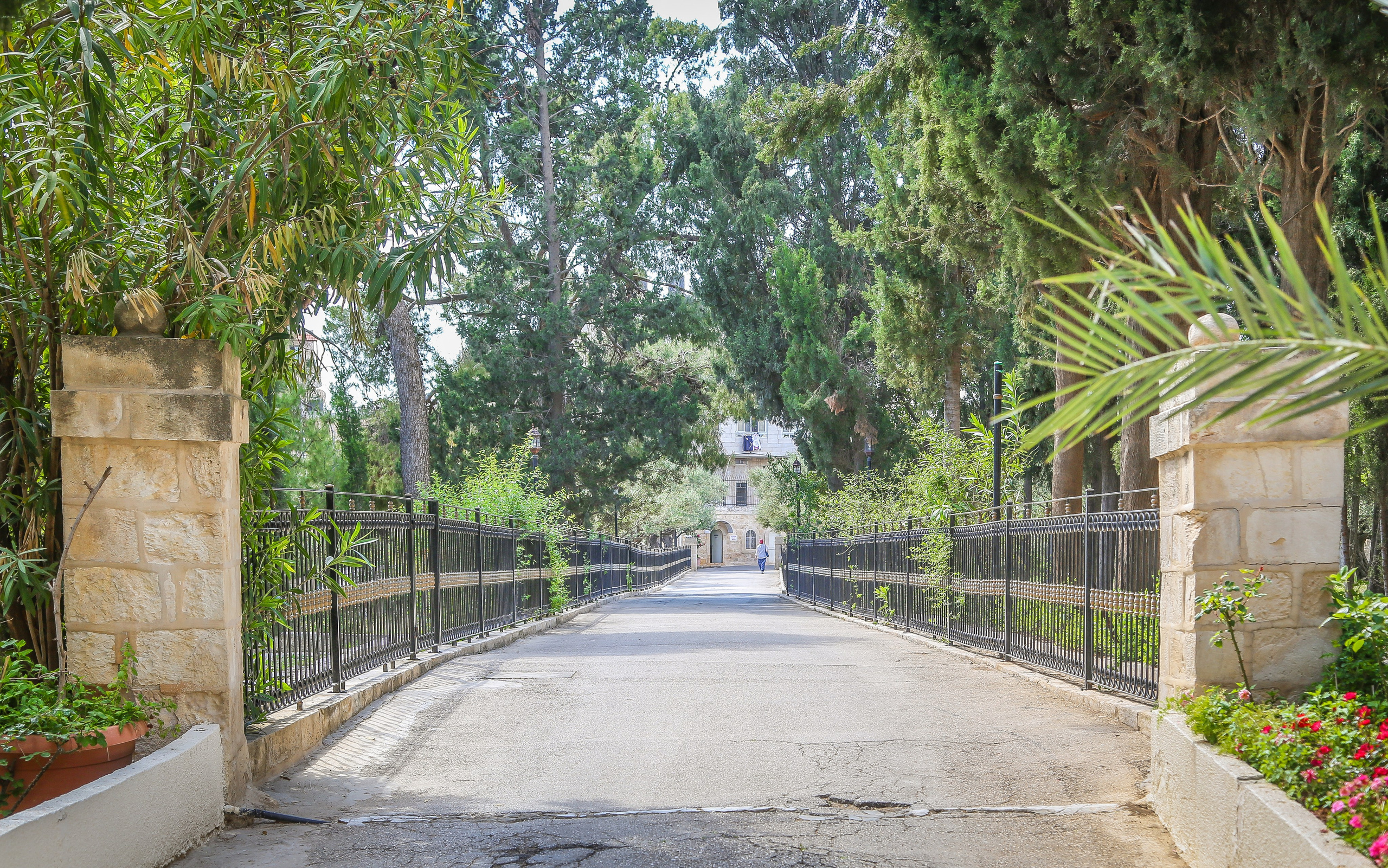 Израиль: «Под небом голубым есть город золотой…». Дарья Письменюк / Darya Leitstern — фотограф, музыкант, журналист, путешественник