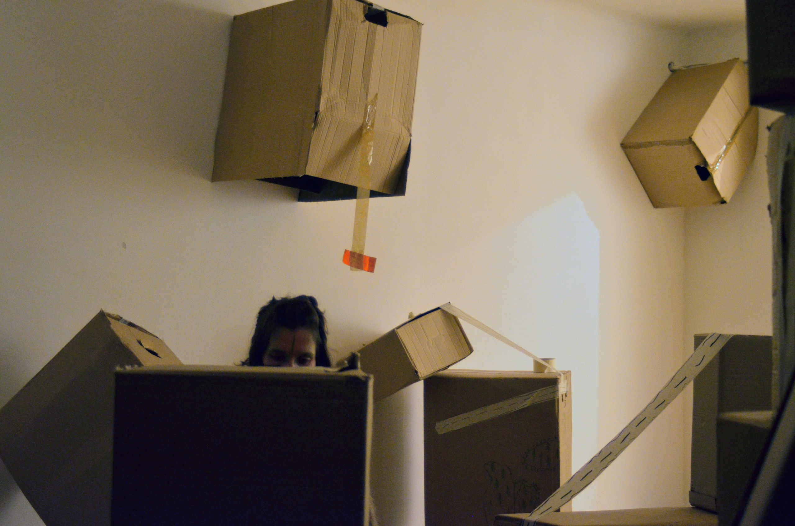 2024 performans “boxes”. Home