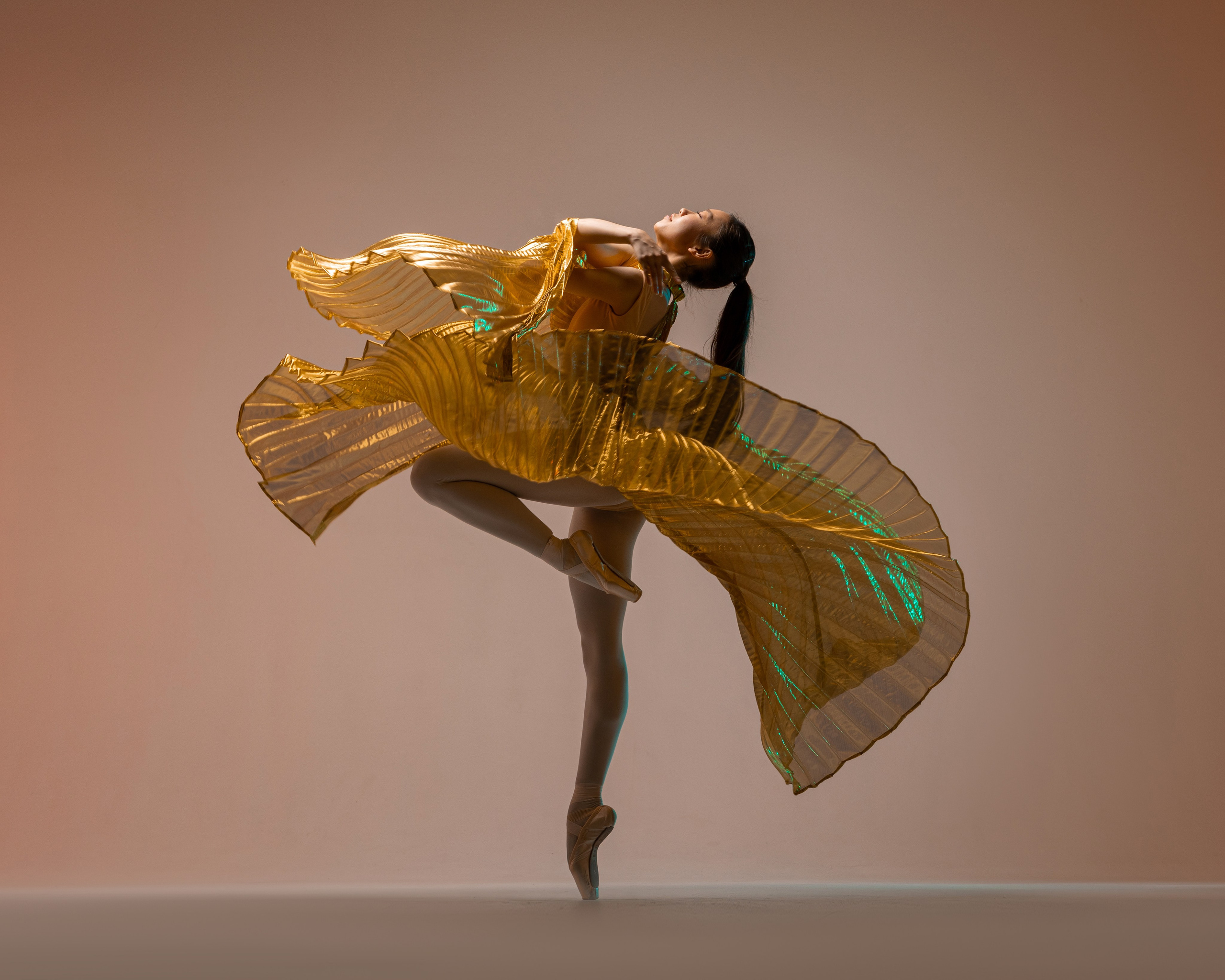 Крылья золотые напрокат бесплатно. Балетный фотограф Алина Ханько — Душа Балета