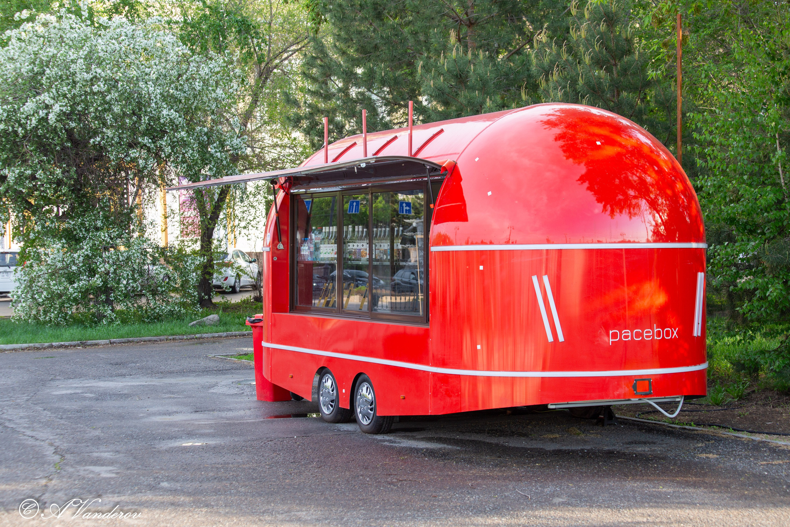 Прогулка 22.05.2024. Фотограф Омск | Александр Вандеров