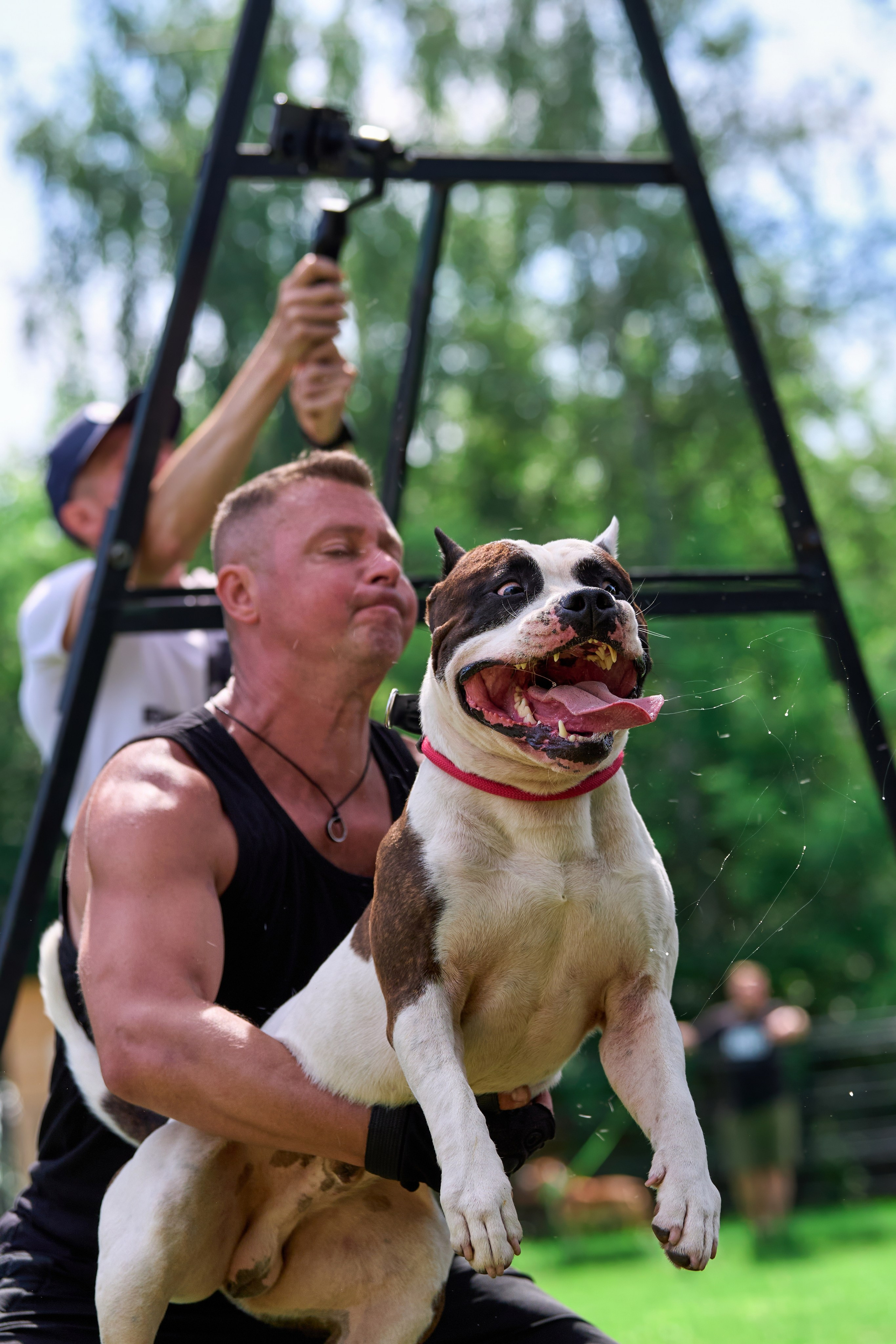 Двухдневные соревнования «Jump'n'Gym Fest — 2024». Фотограф-анималист Михаил Манухин