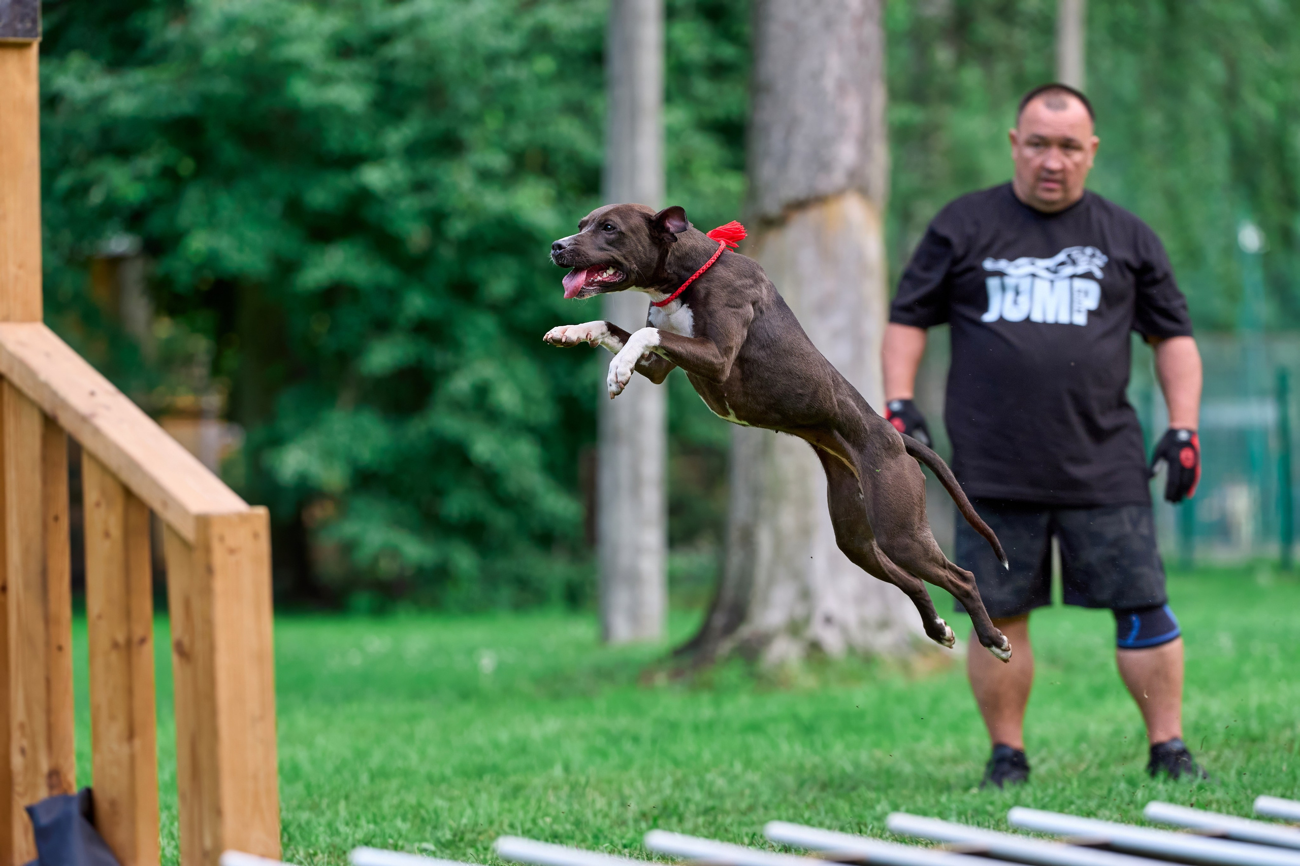 Двухдневные соревнования «Jump'n'Gym Fest — 2024». Фотограф-анималист Михаил Манухин