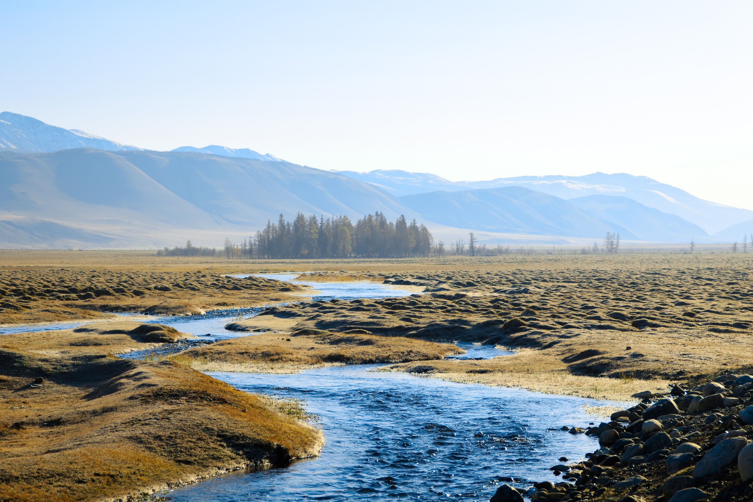 Подберу кадр под ваш интерьер и настроение. Фотограф Кирилл Мешков Кемерово