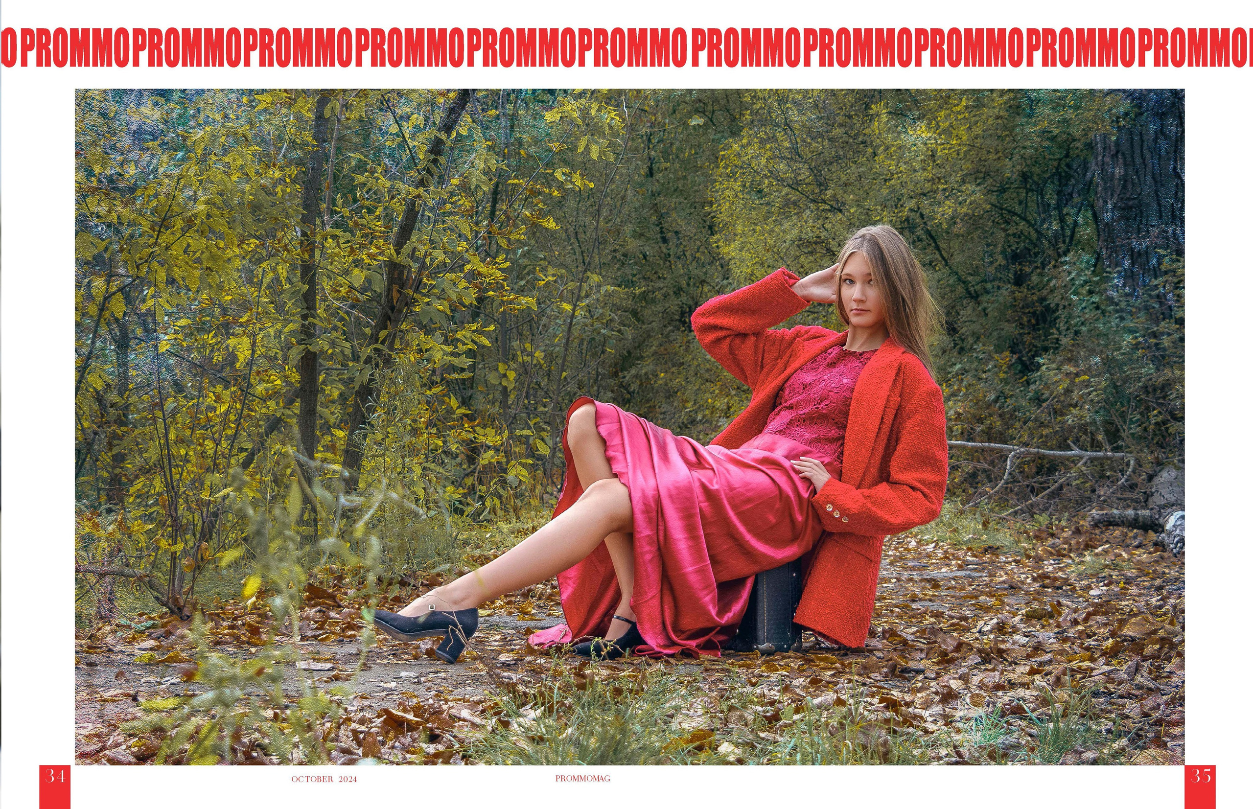 Публикации в журналах