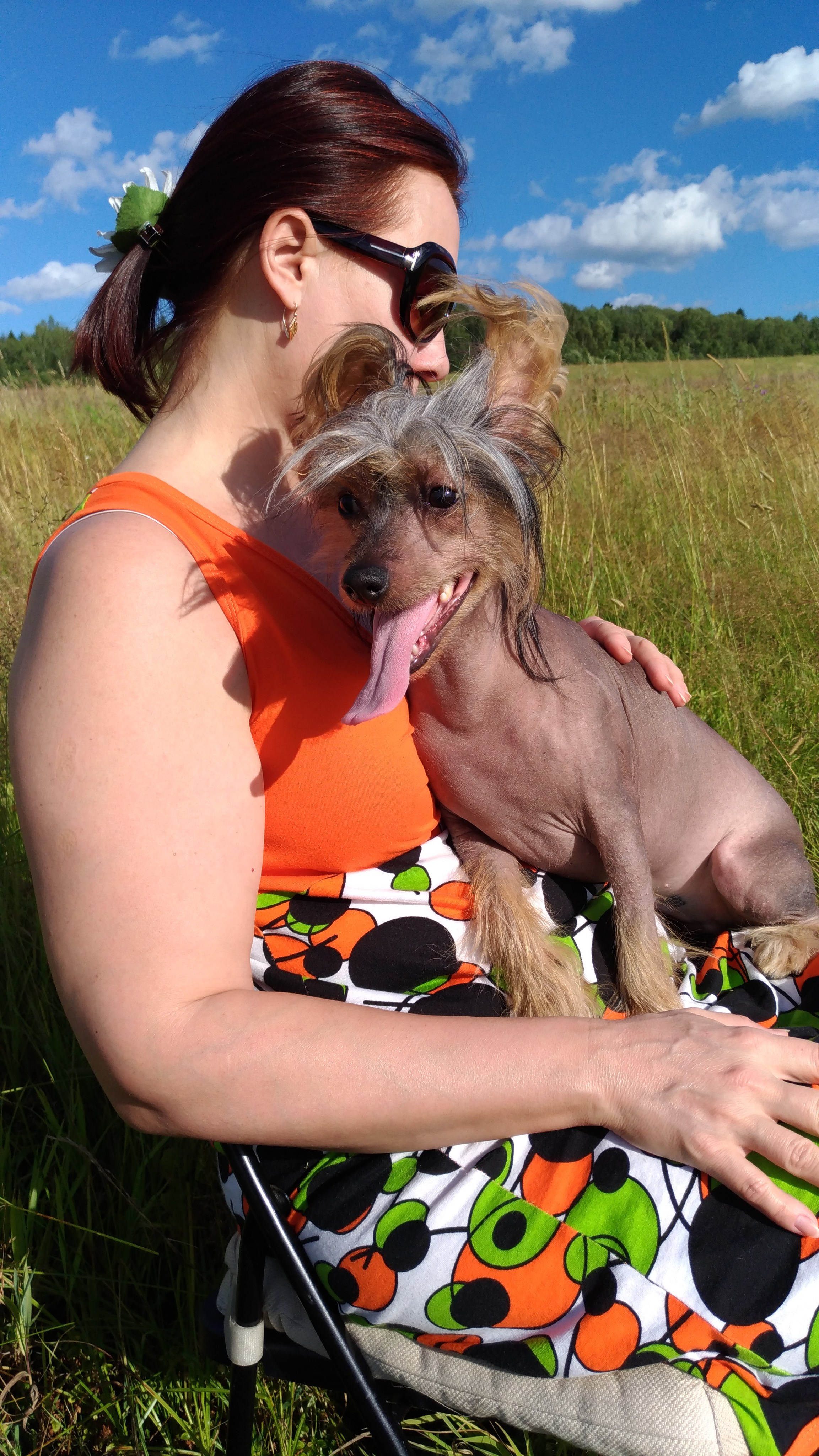 В поле под присмотром сокола. Питомник китайских хохлатых собак Poale Ell: купить щенка в питомнике