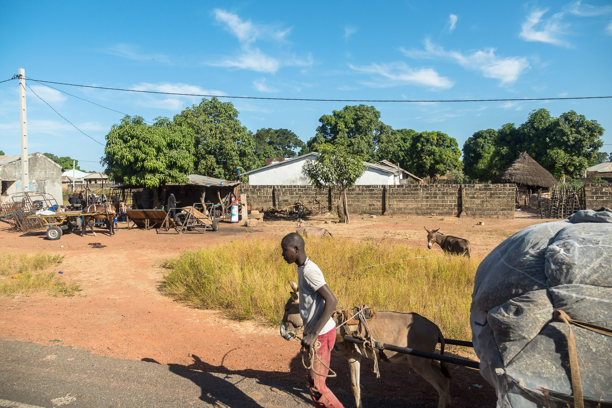 Путешествие по Гамбии (Западная Африка).Traveling in Gambia (West Africa.). Фотограф Алексей Скоробогатько