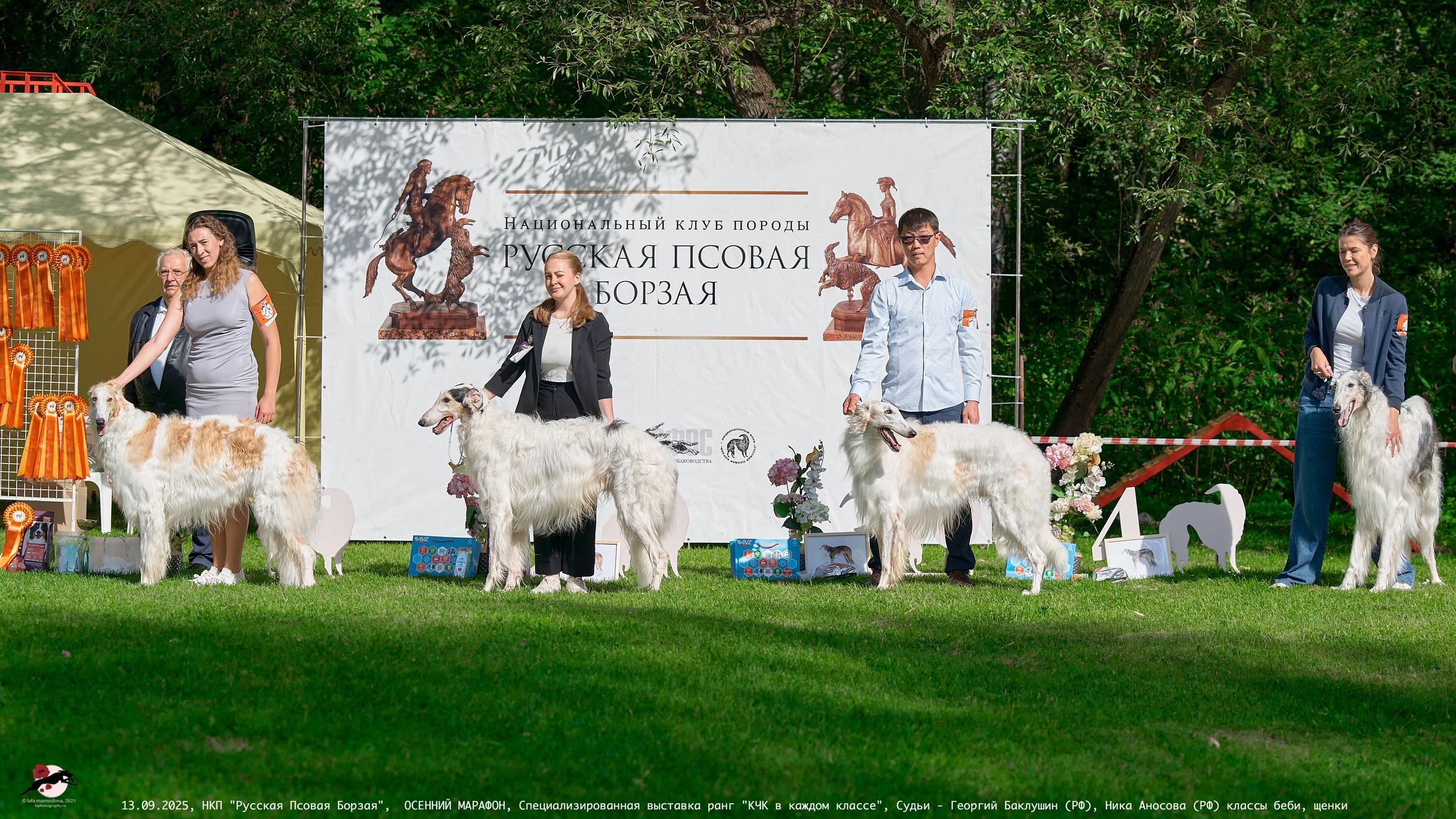 ОСЕННИЙ МАРАФОН | Специализированная выставка породы Русская Псовая Борзая ранг "КЧК в каждом классе"