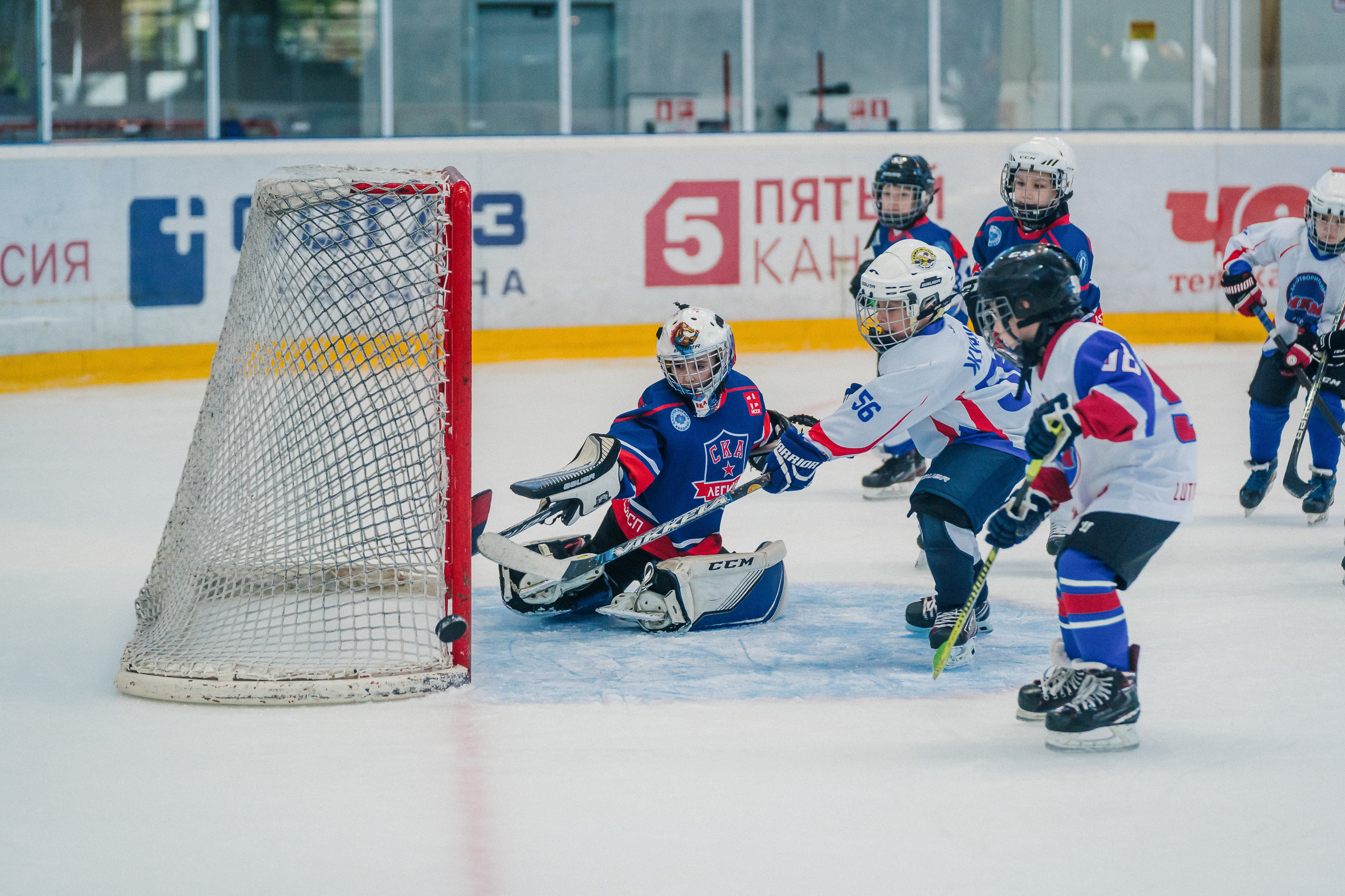IGORA CUP. Svyatoslav Bunkov | photographer