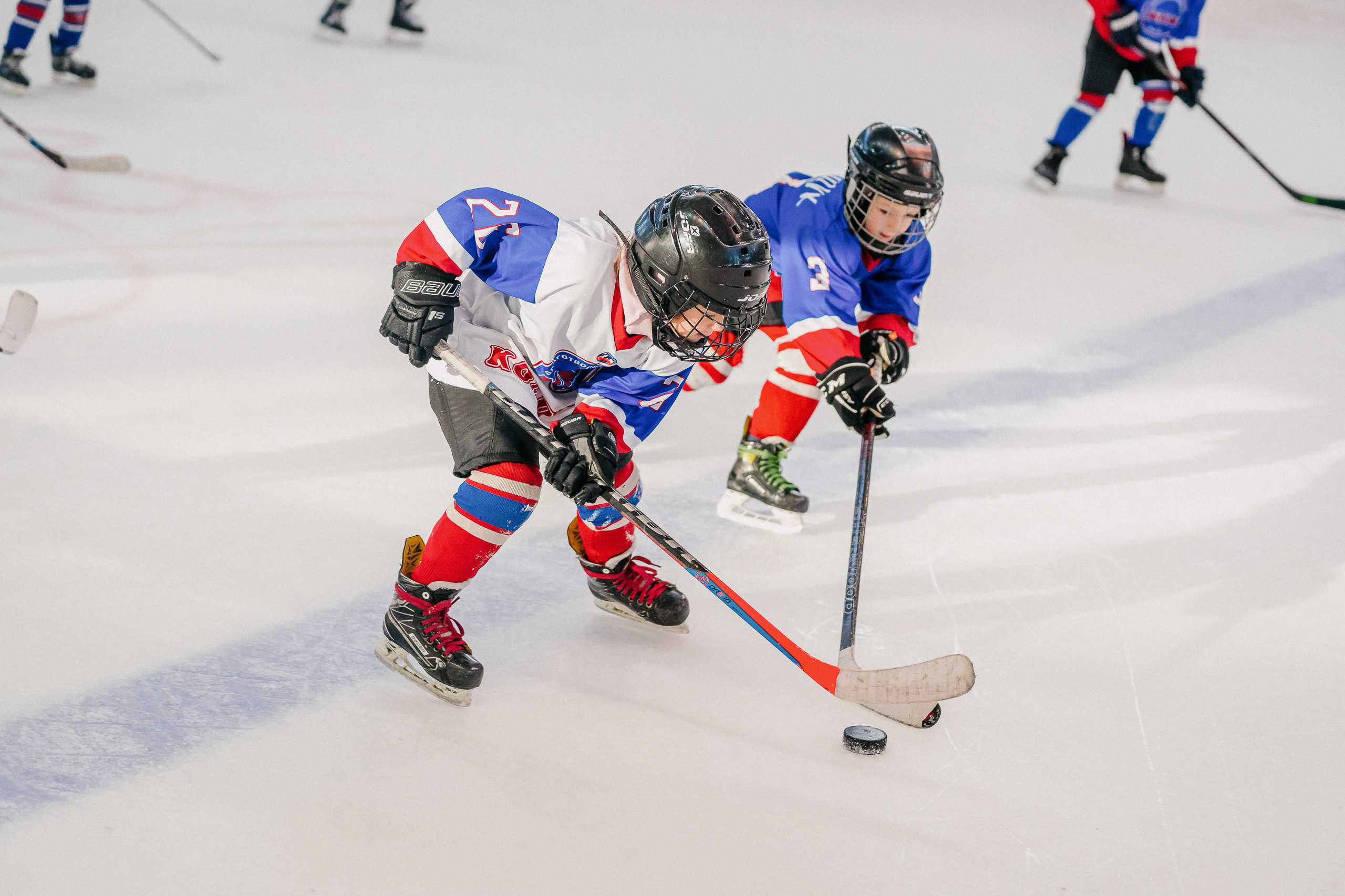 IGORA CUP. Svyatoslav Bunkov | photographer