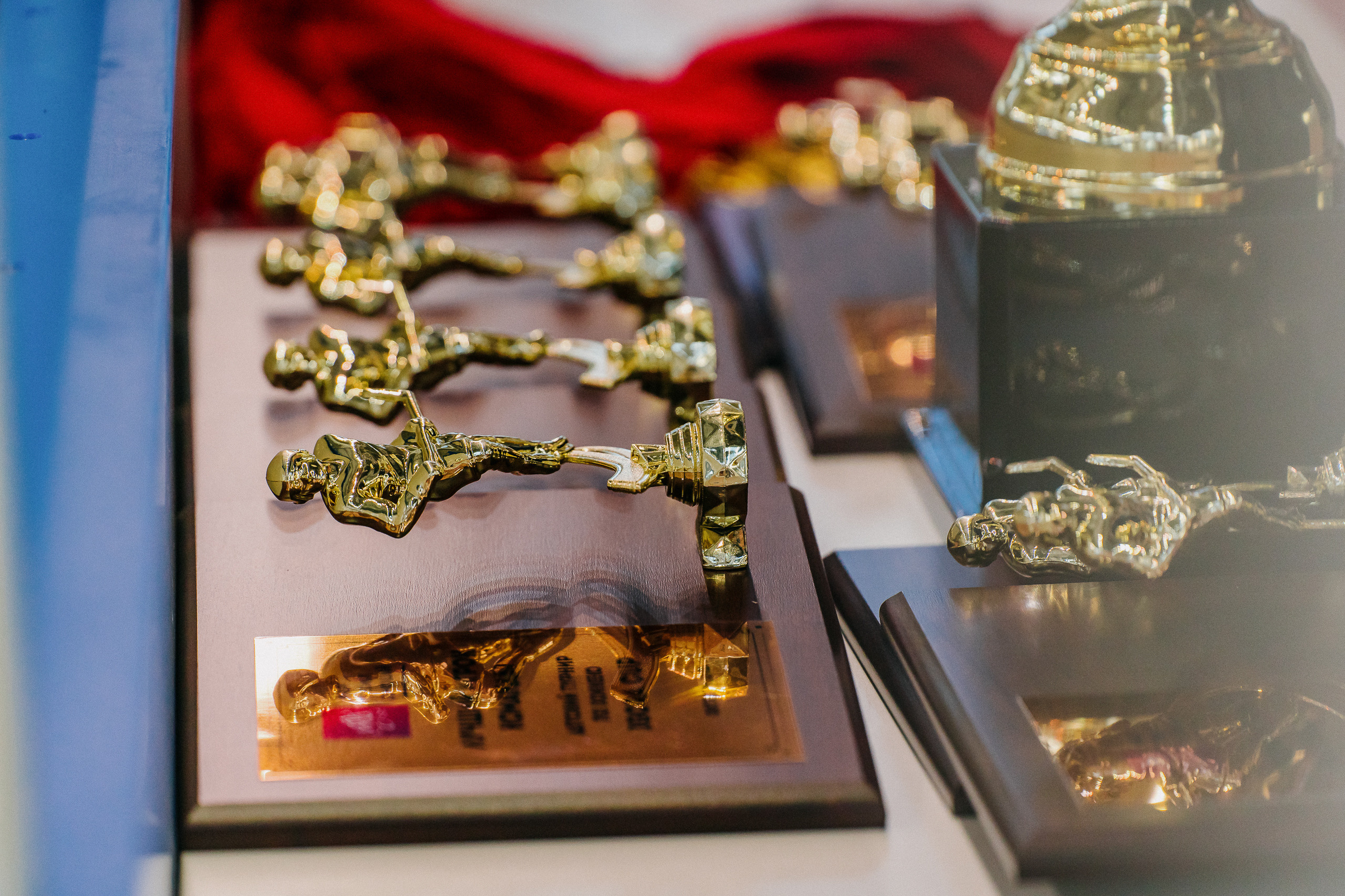 IGORA CUP. Svyatoslav Bunkov | photographer