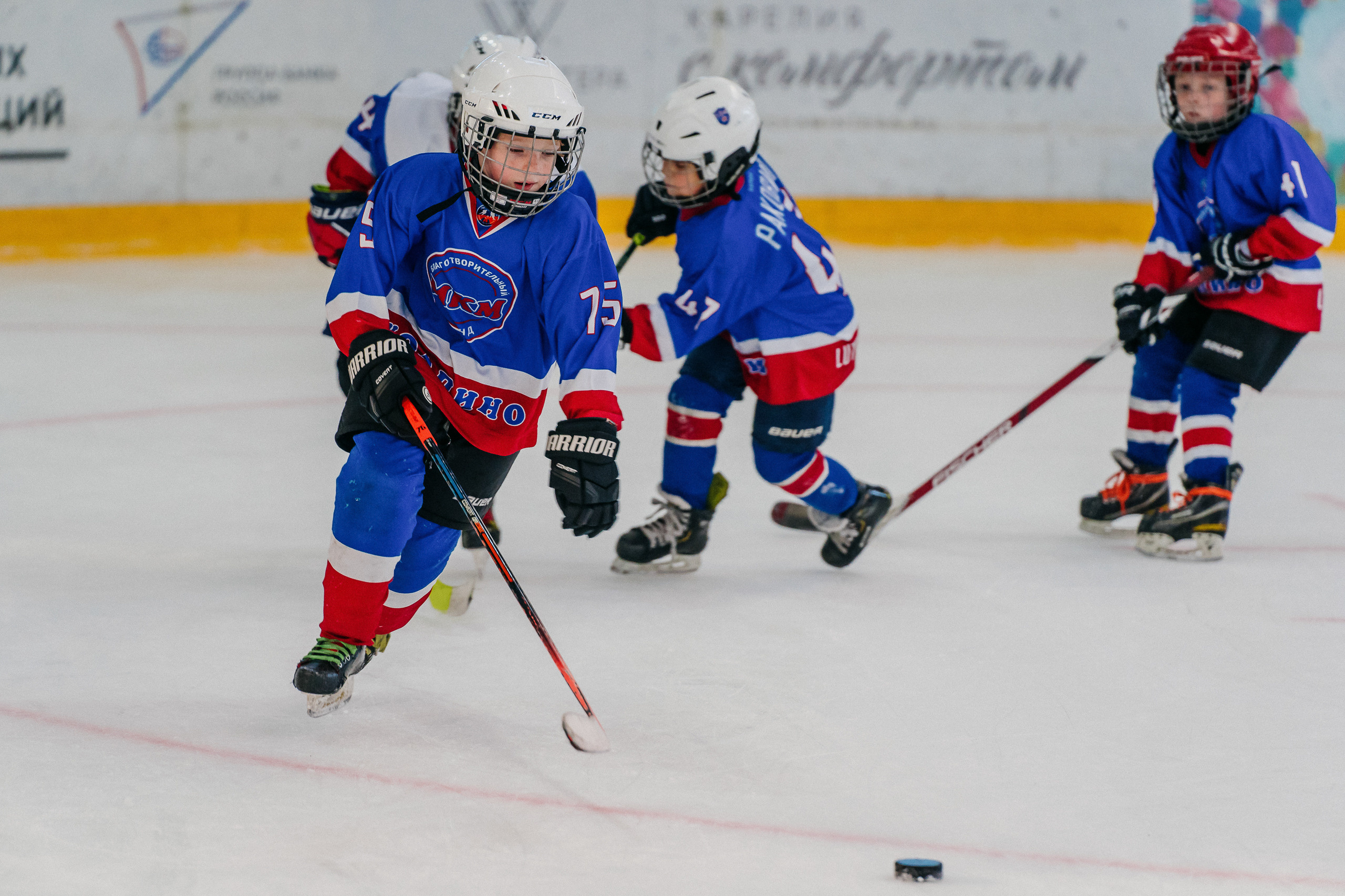 IGORA CUP. Svyatoslav Bunkov | photographer