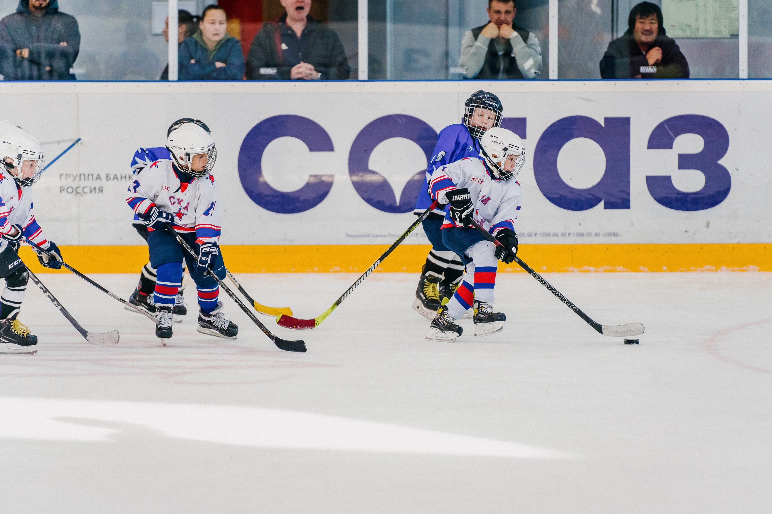 IGORA CUP. Svyatoslav Bunkov | photographer