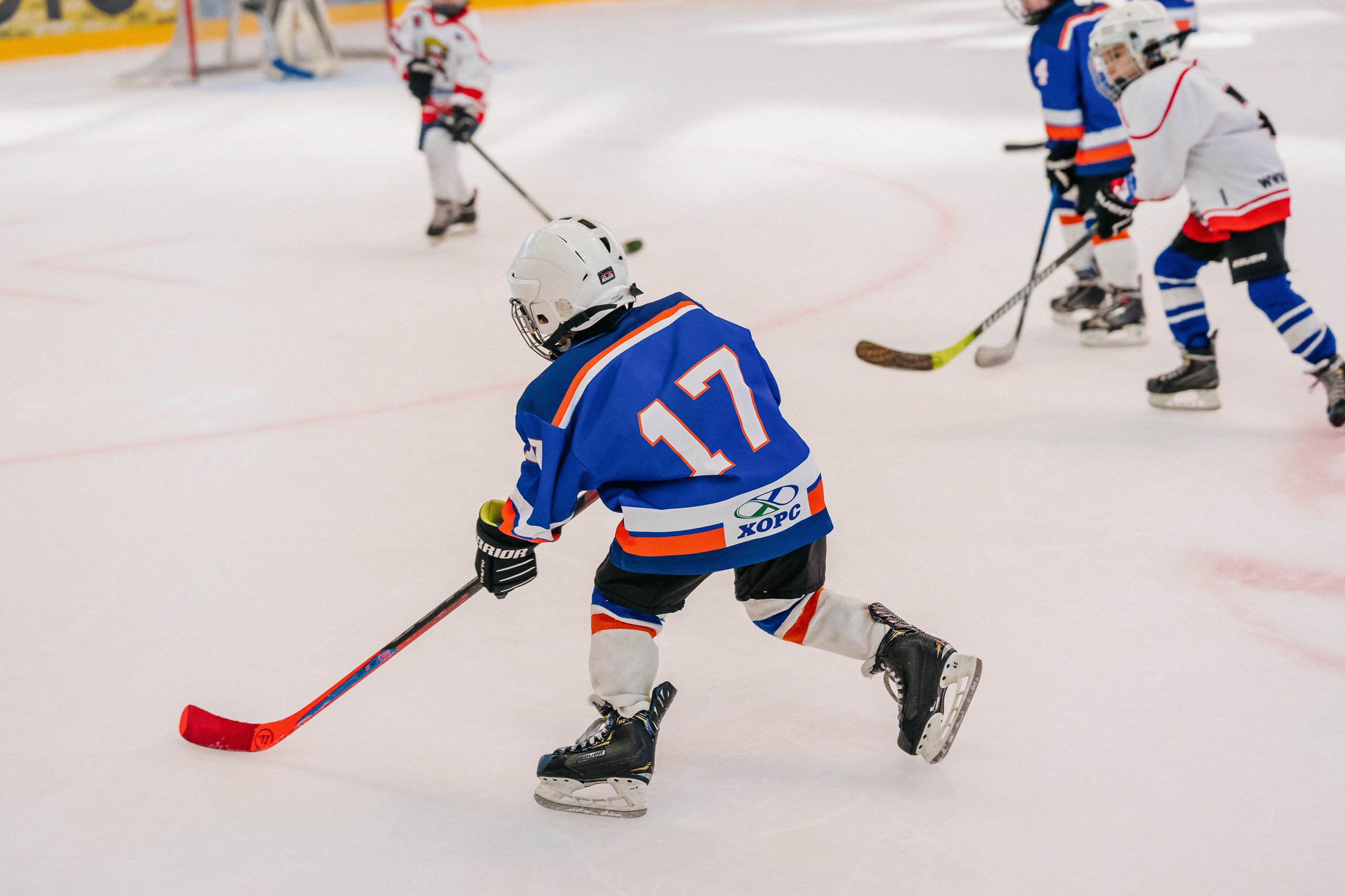 IGORA CUP. Svyatoslav Bunkov | photographer