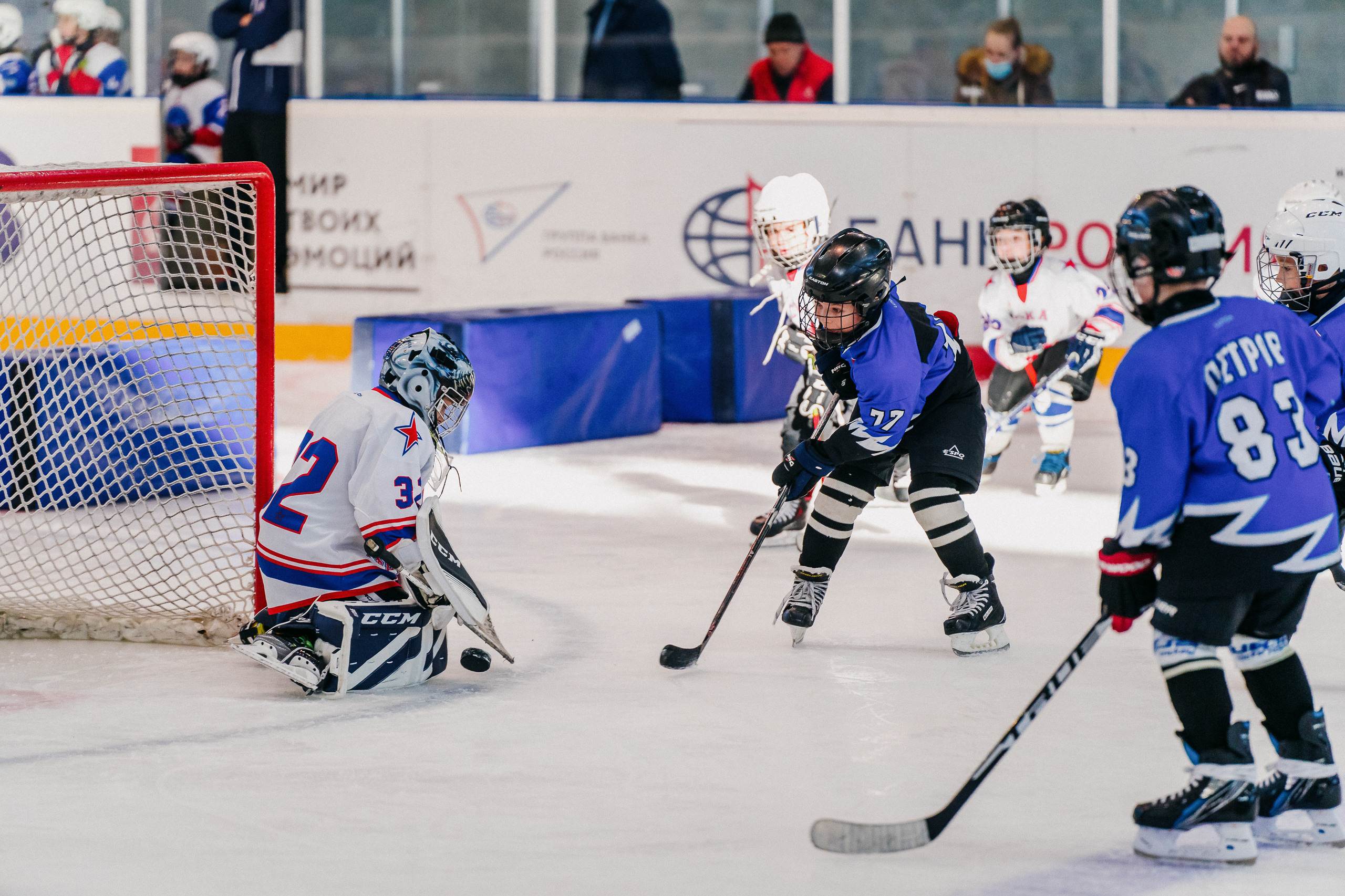 IGORA CUP. Svyatoslav Bunkov | photographer