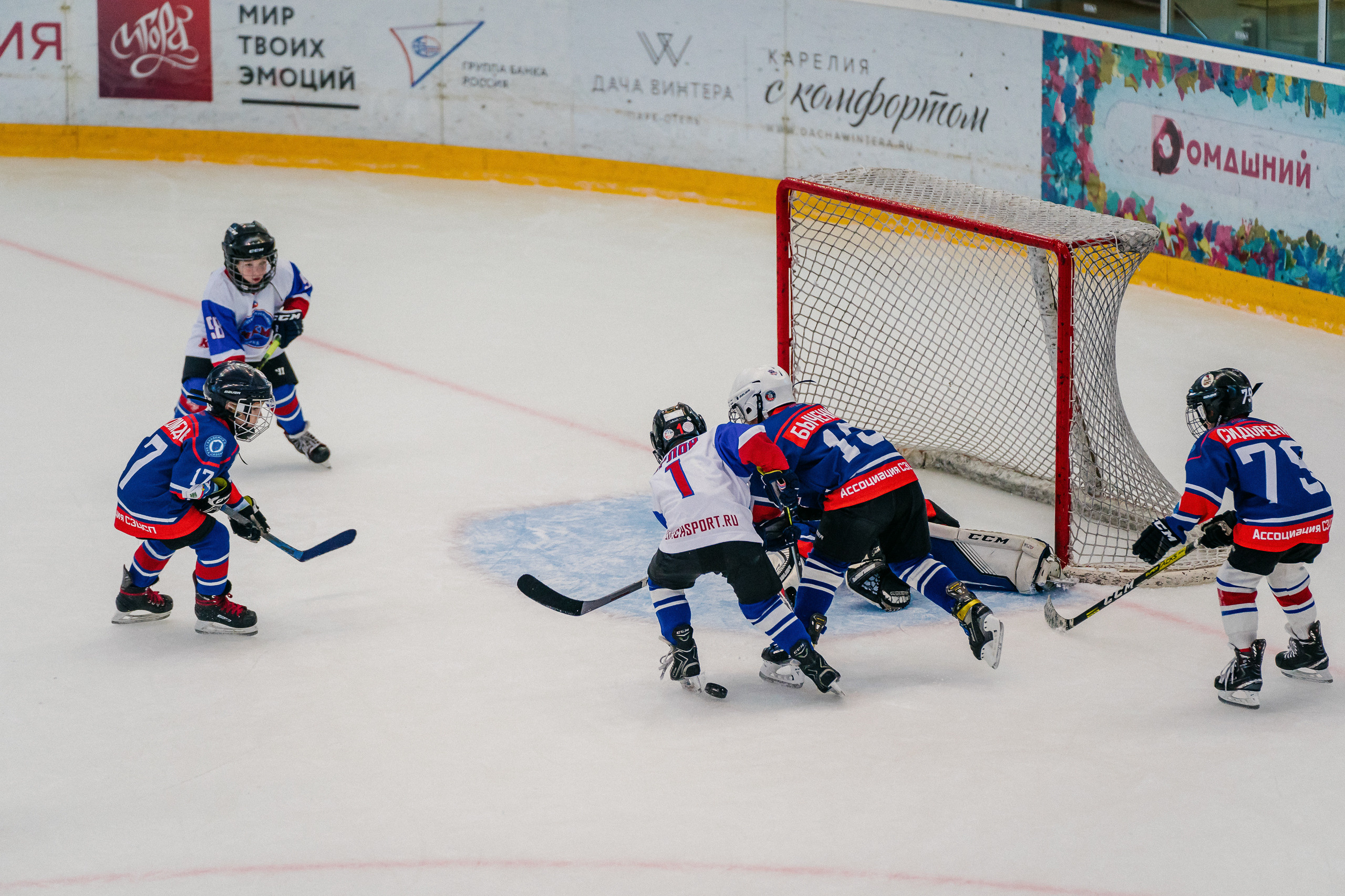 IGORA CUP. Svyatoslav Bunkov | photographer