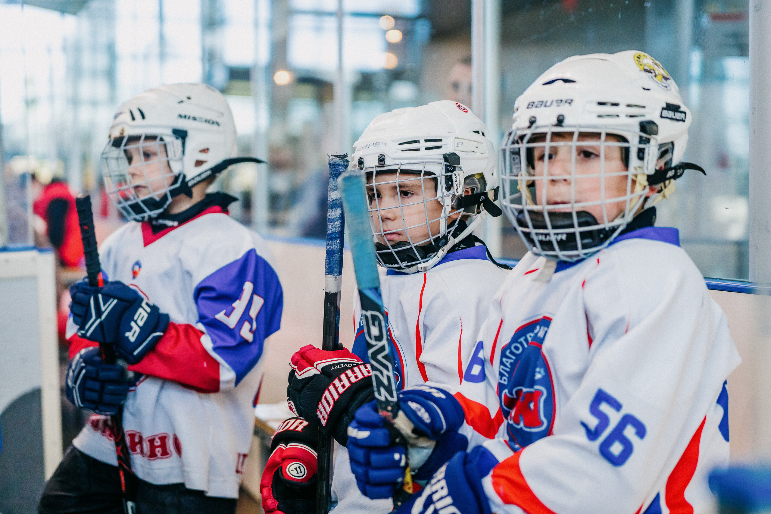 IGORA CUP. Svyatoslav Bunkov | photographer