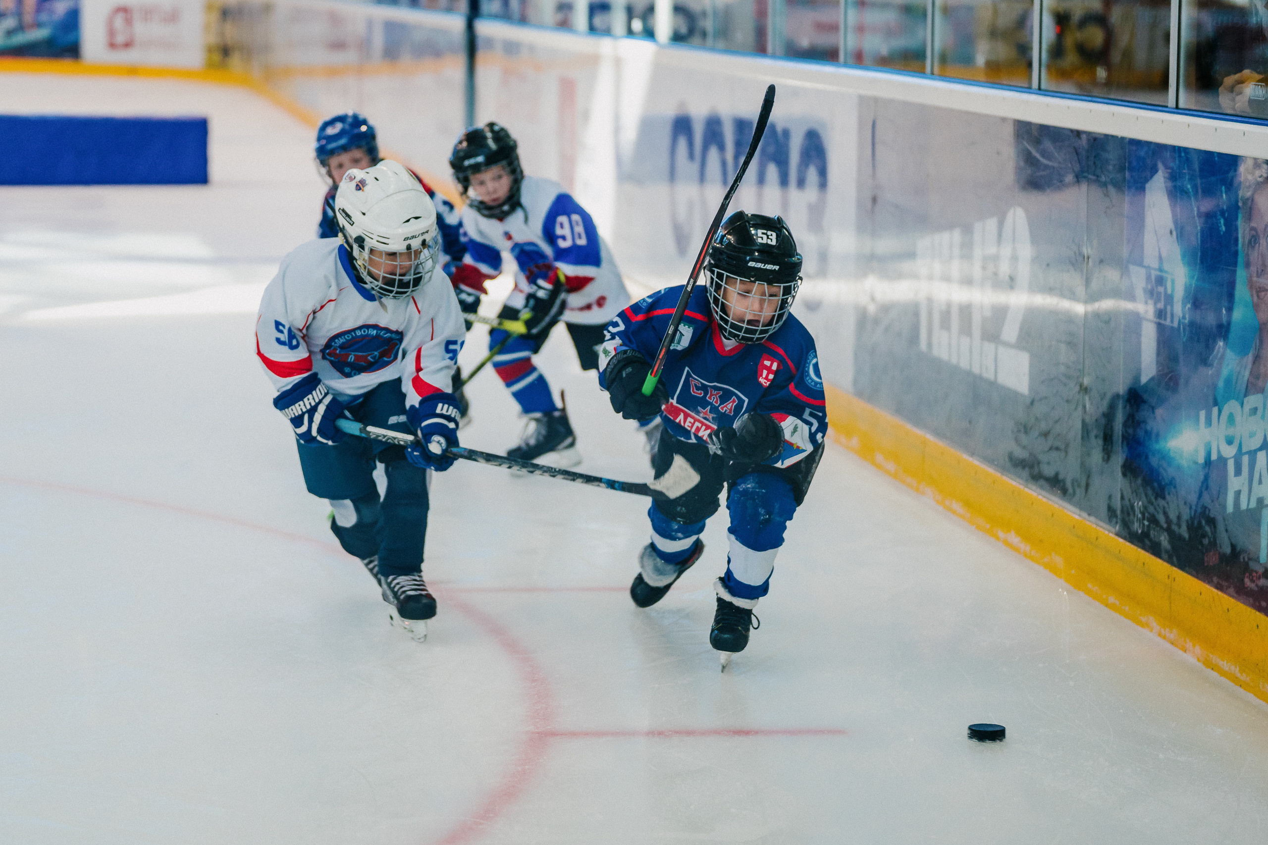 IGORA CUP. Svyatoslav Bunkov | photographer