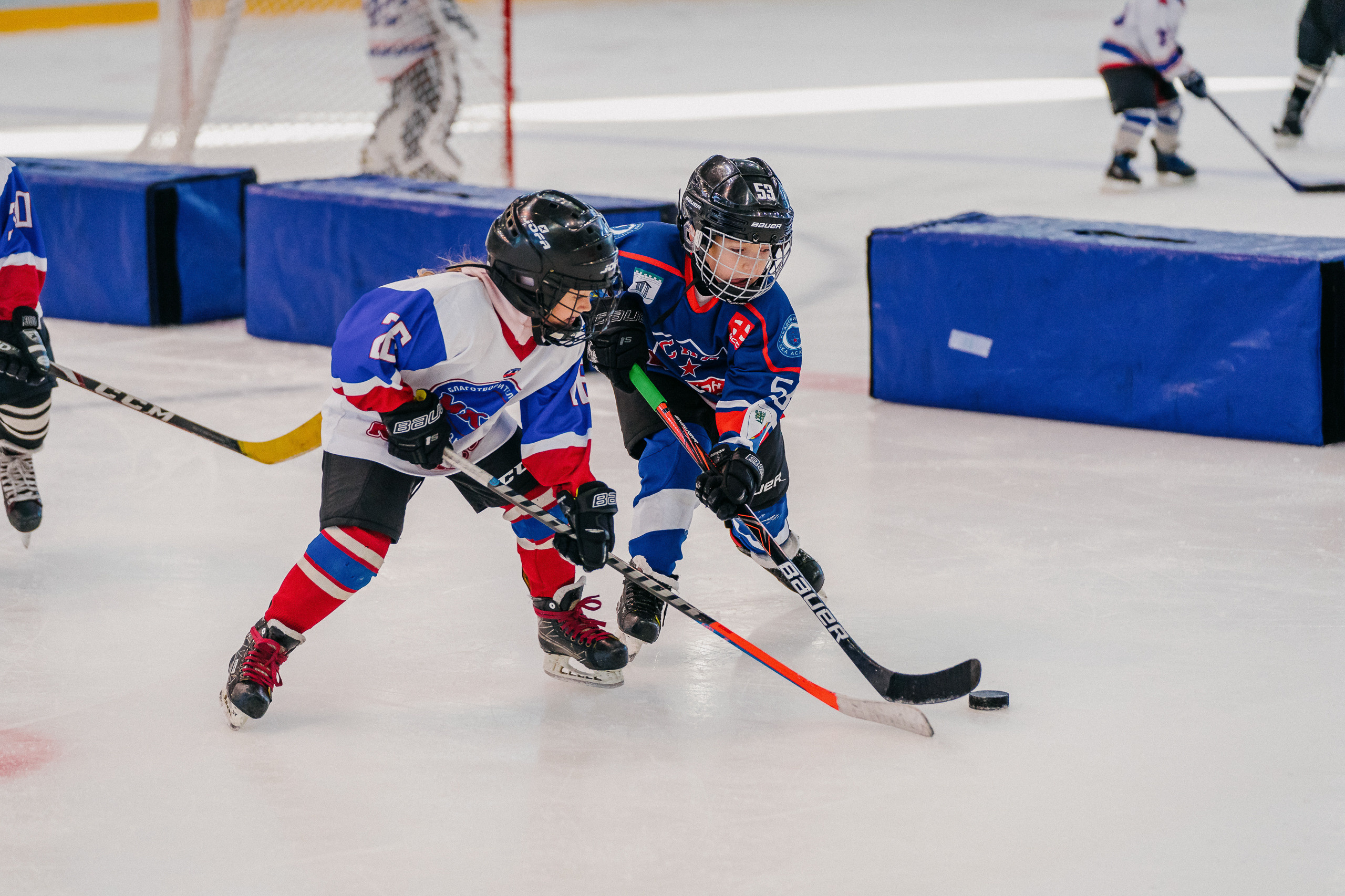 IGORA CUP. Svyatoslav Bunkov | photographer