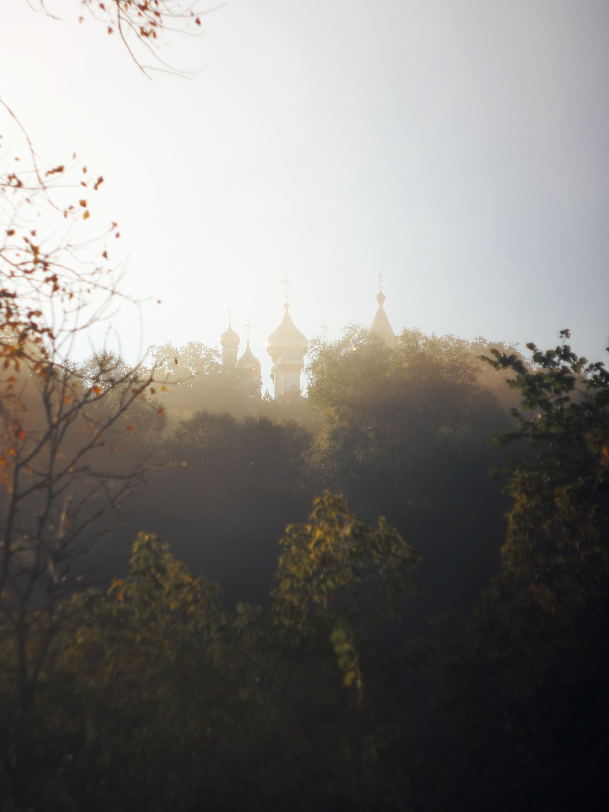 Опустошенность. С любовью, фотохудожник