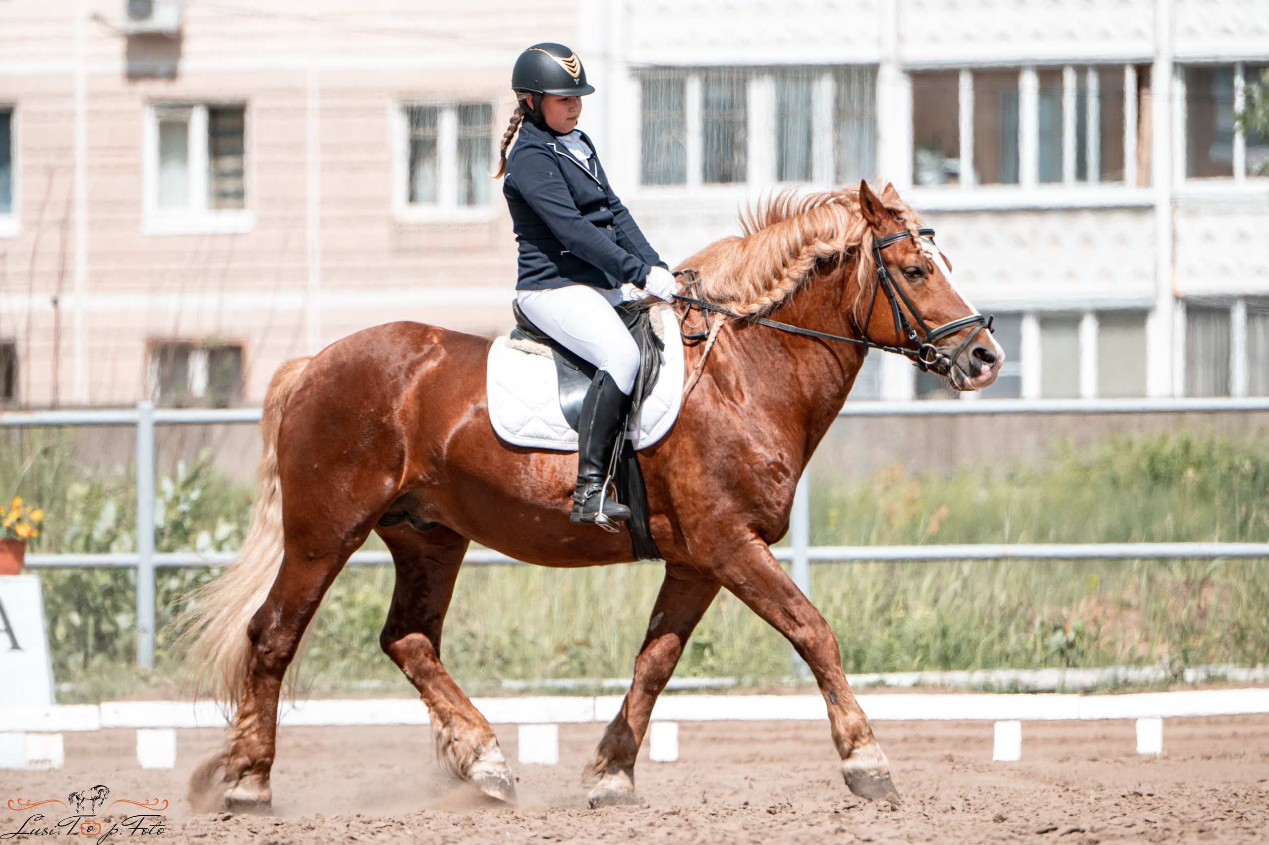 Областные соревнования по выездке. Тверь. Конный и фотограф с животными в Твери Топталова Люся
