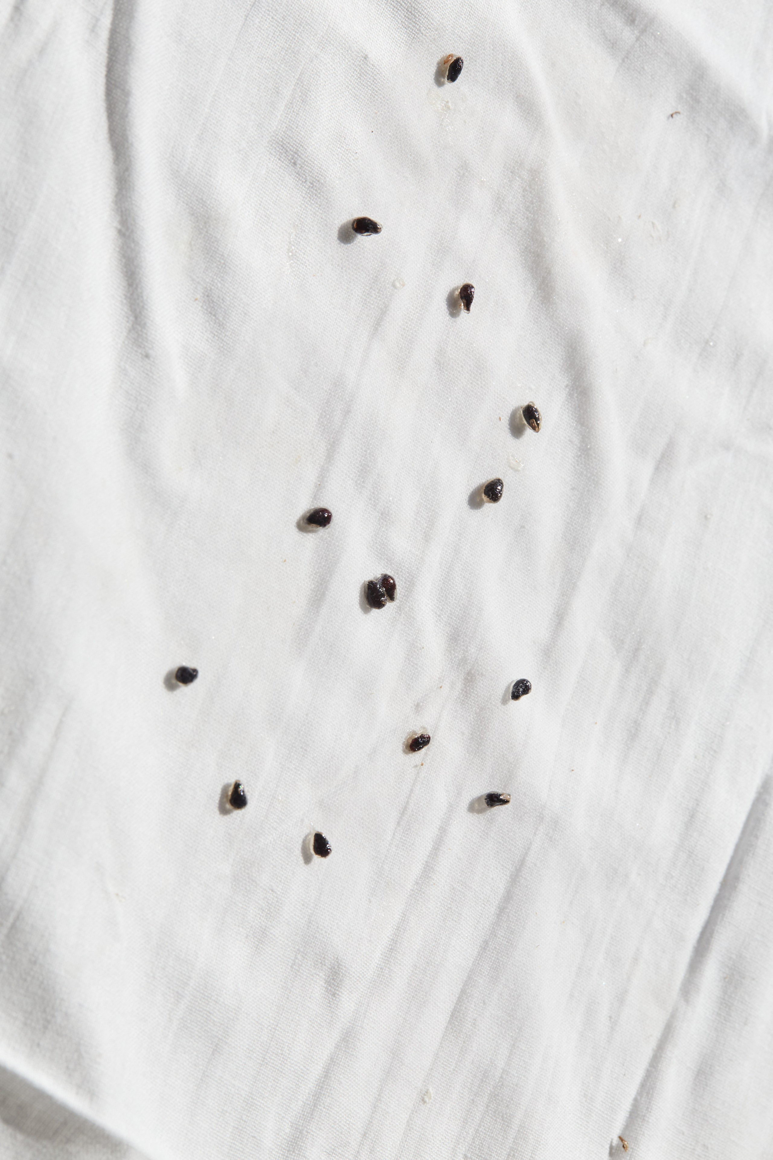 HEYDAY. Daria Blinova