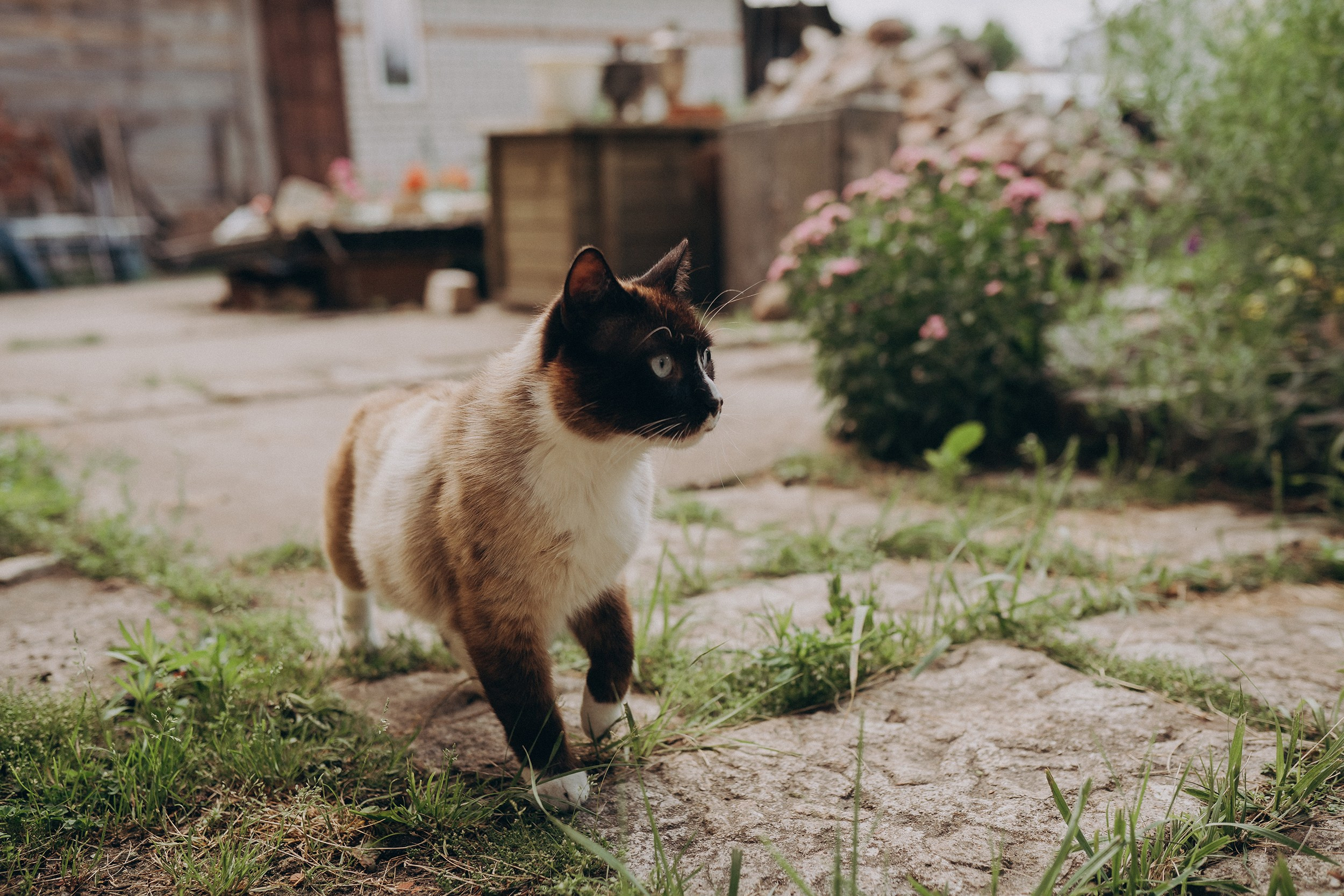 Поколения. Детский и семейный фотограф — Калининград — Юля Насифуллина