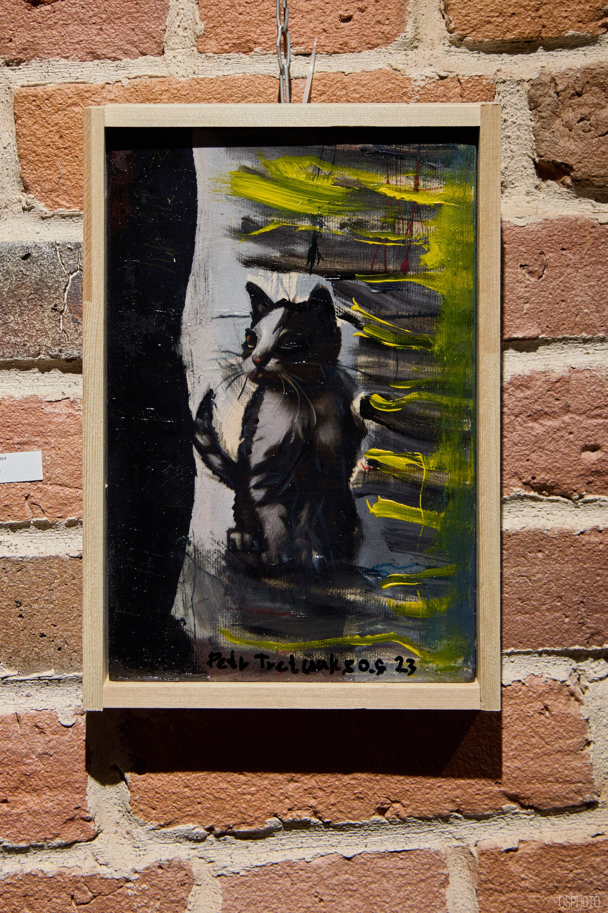 Псков. Ноябрь. Фотографъ Сергѣевъ. Поймать мгновеніе