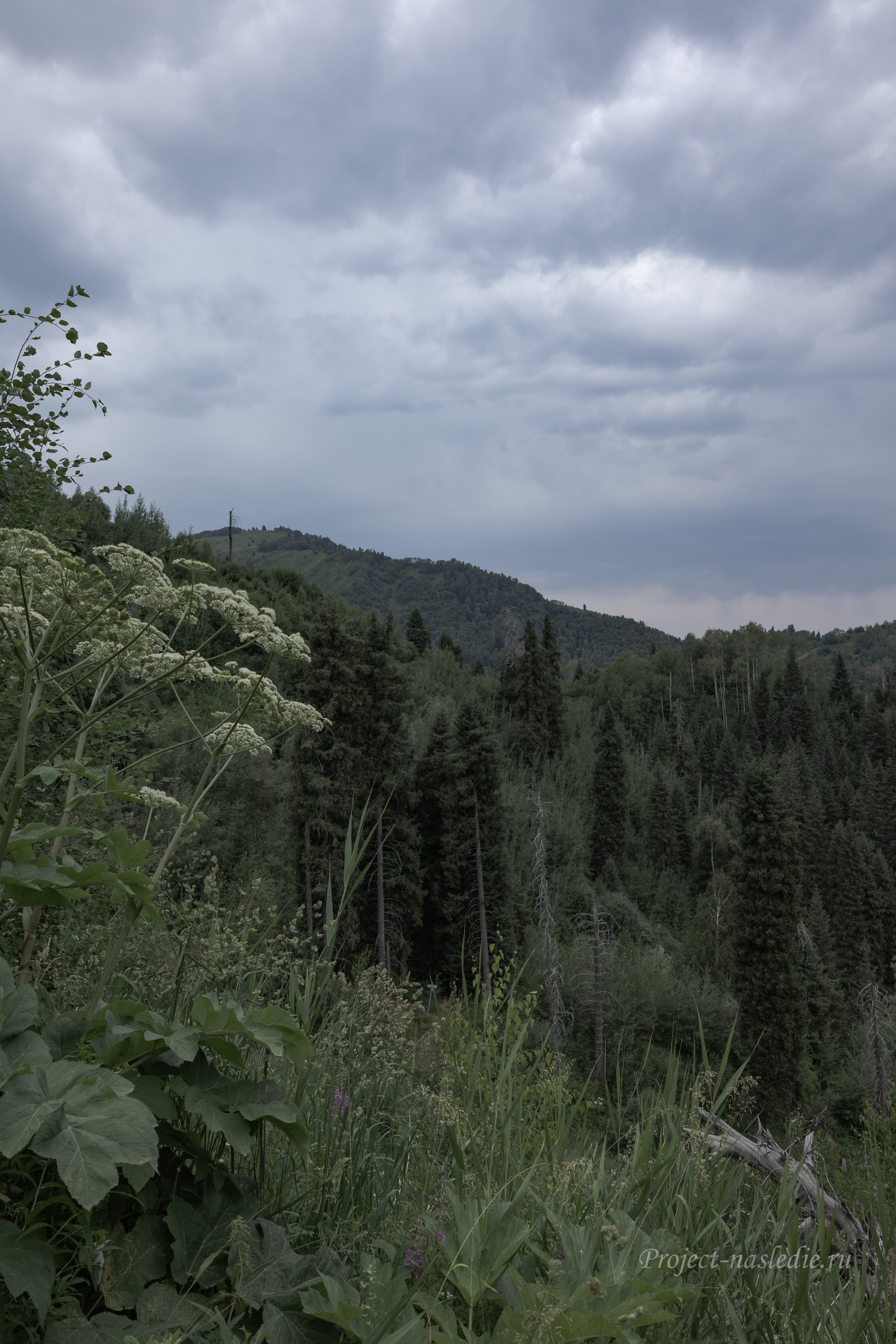Заброшенные объекты культурного наследия России и уникальные памятники архитектуры | Проект «Наследие»