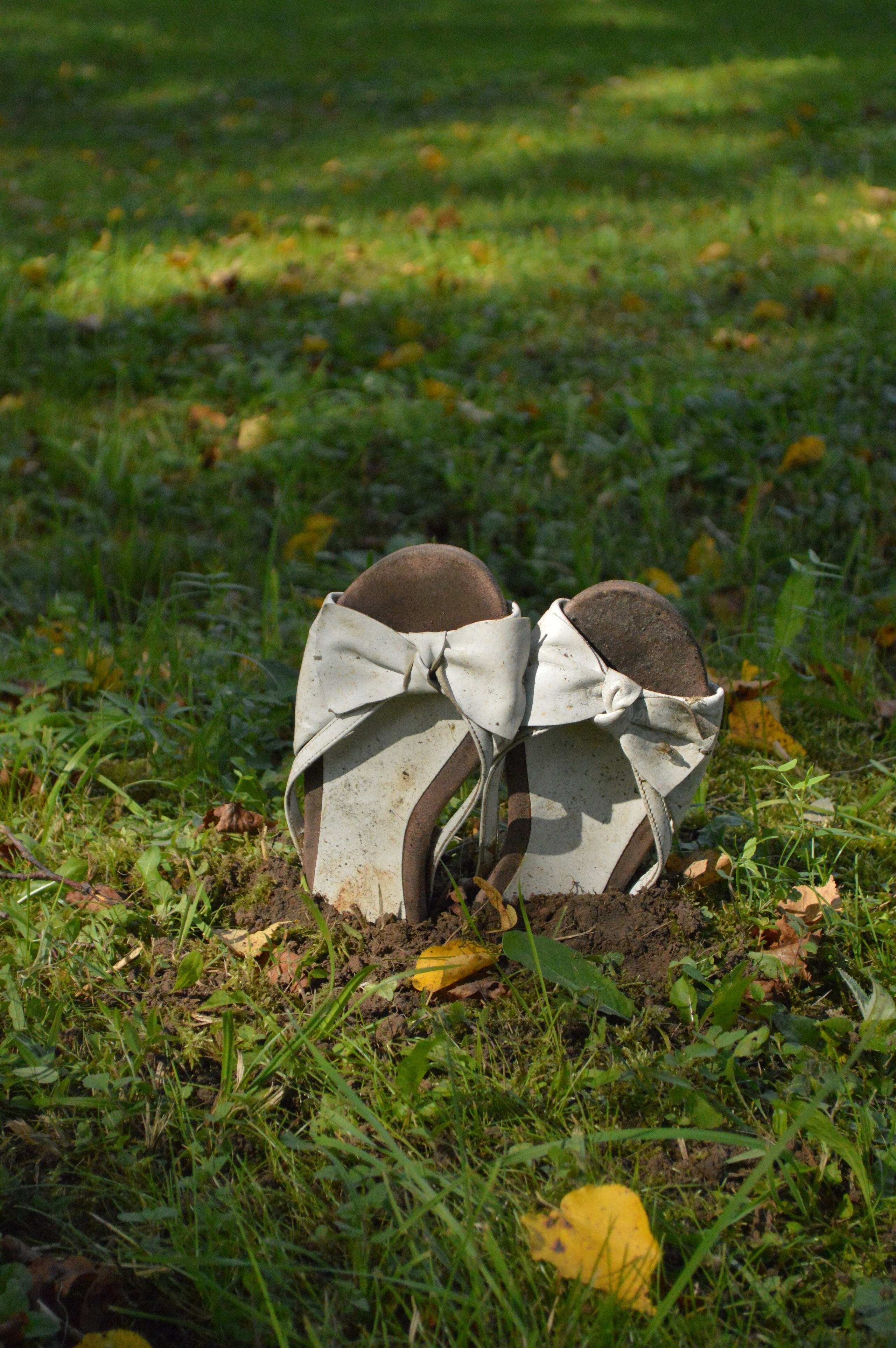 Резиденция «Белые аллеи» Москва. Лилия Ким. Междисциплинарный художник