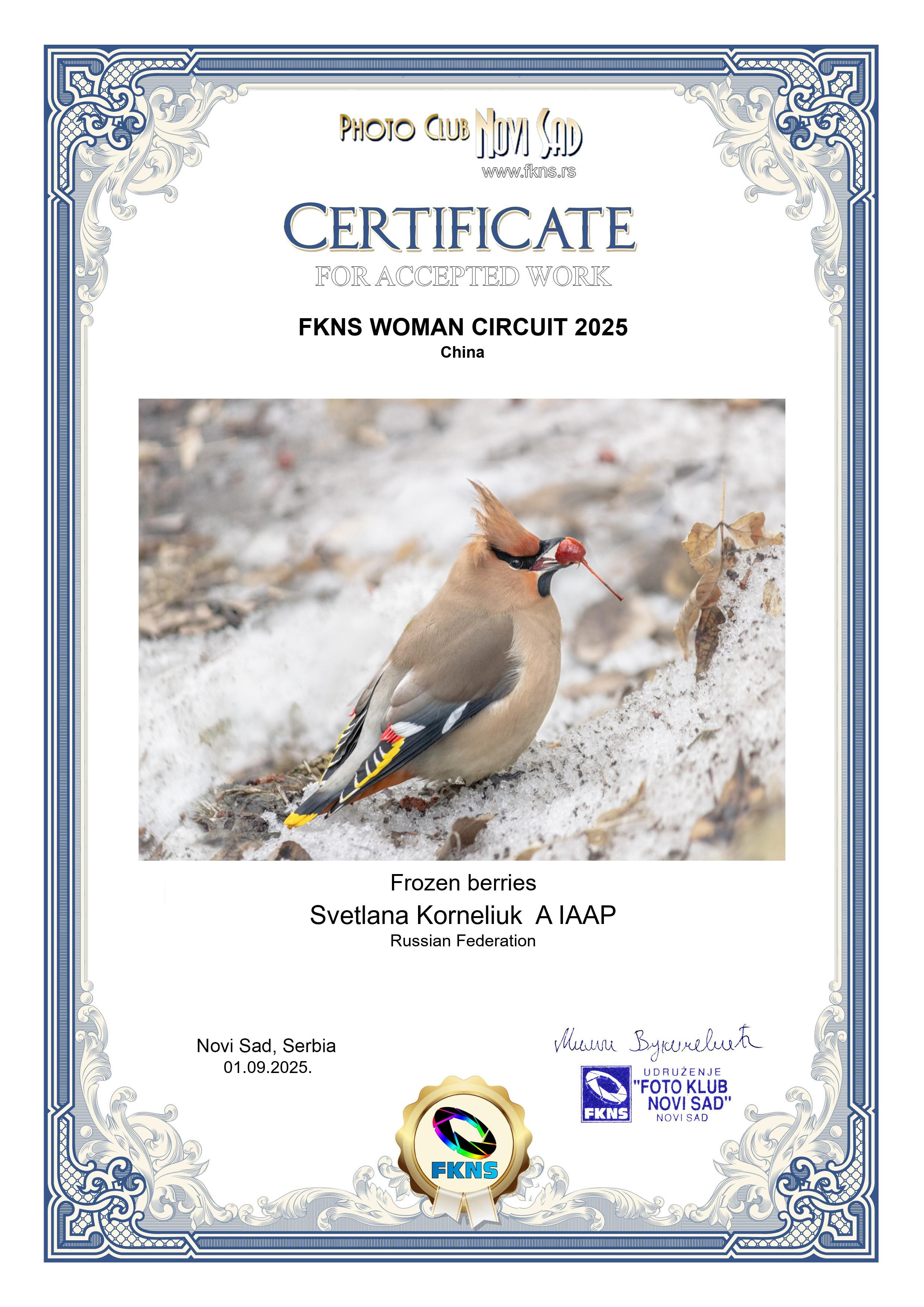 Certificate with the results of participation in the international competition FKNS WOMAN CIRCUIT 2025