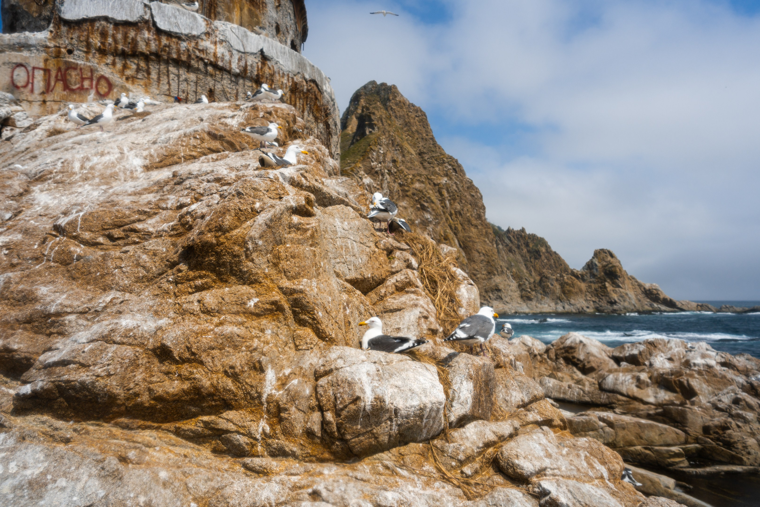 Маяк Анива. Иван Зайцев (IZIART) — визуальные истории для брендов, людей и мест