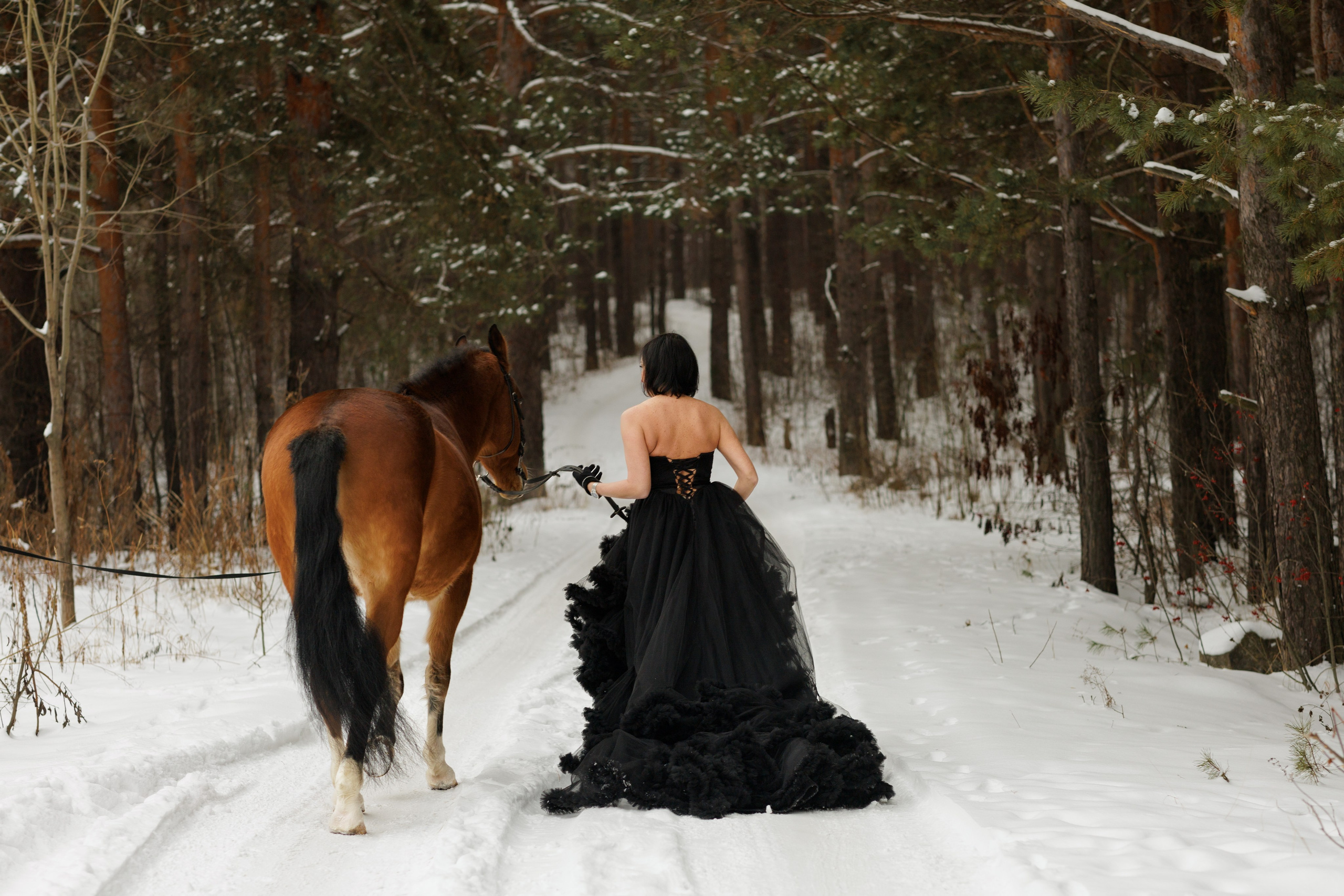 Фотосессия в зимнем лесу. Фотограф Ерохина Светлана — фотосессии в Екатеринбурге