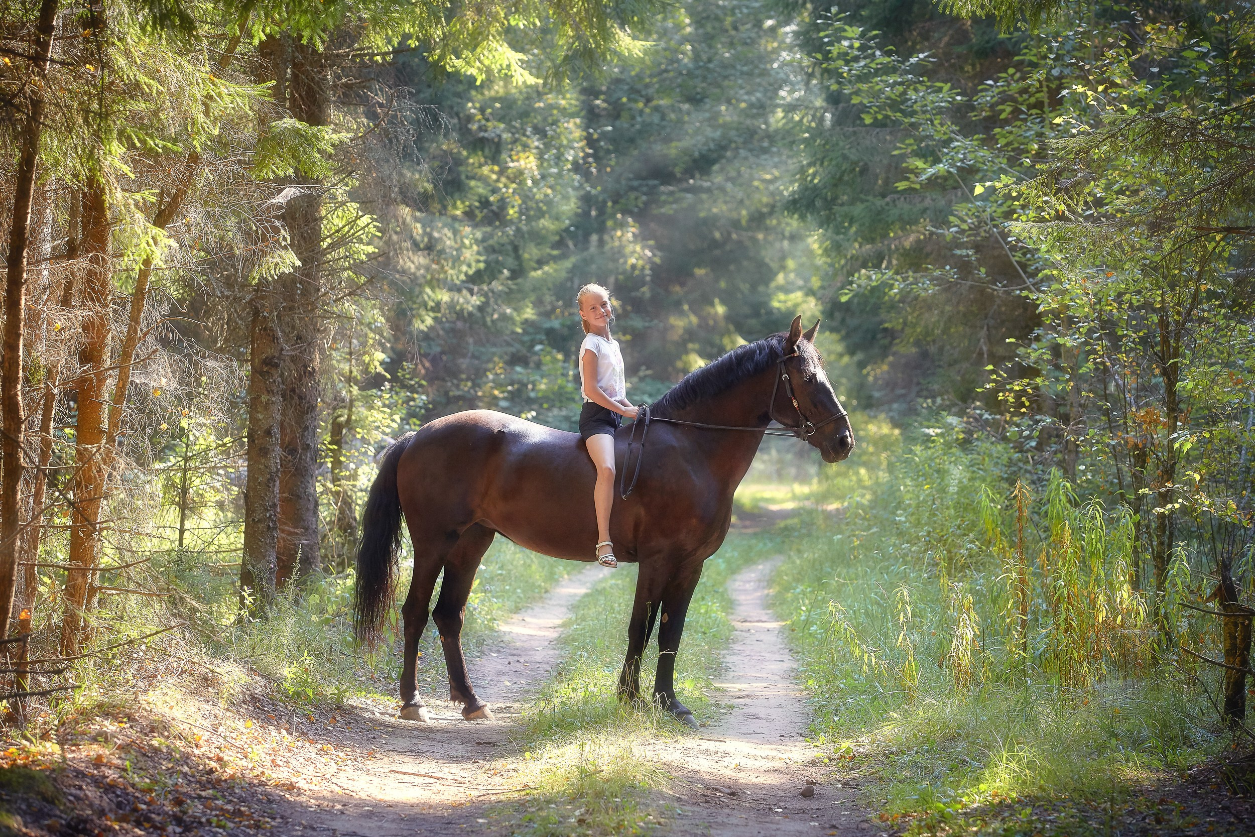 Фотосессия с лошадьми Фотограф Михаил Семенов, г. Ярославль