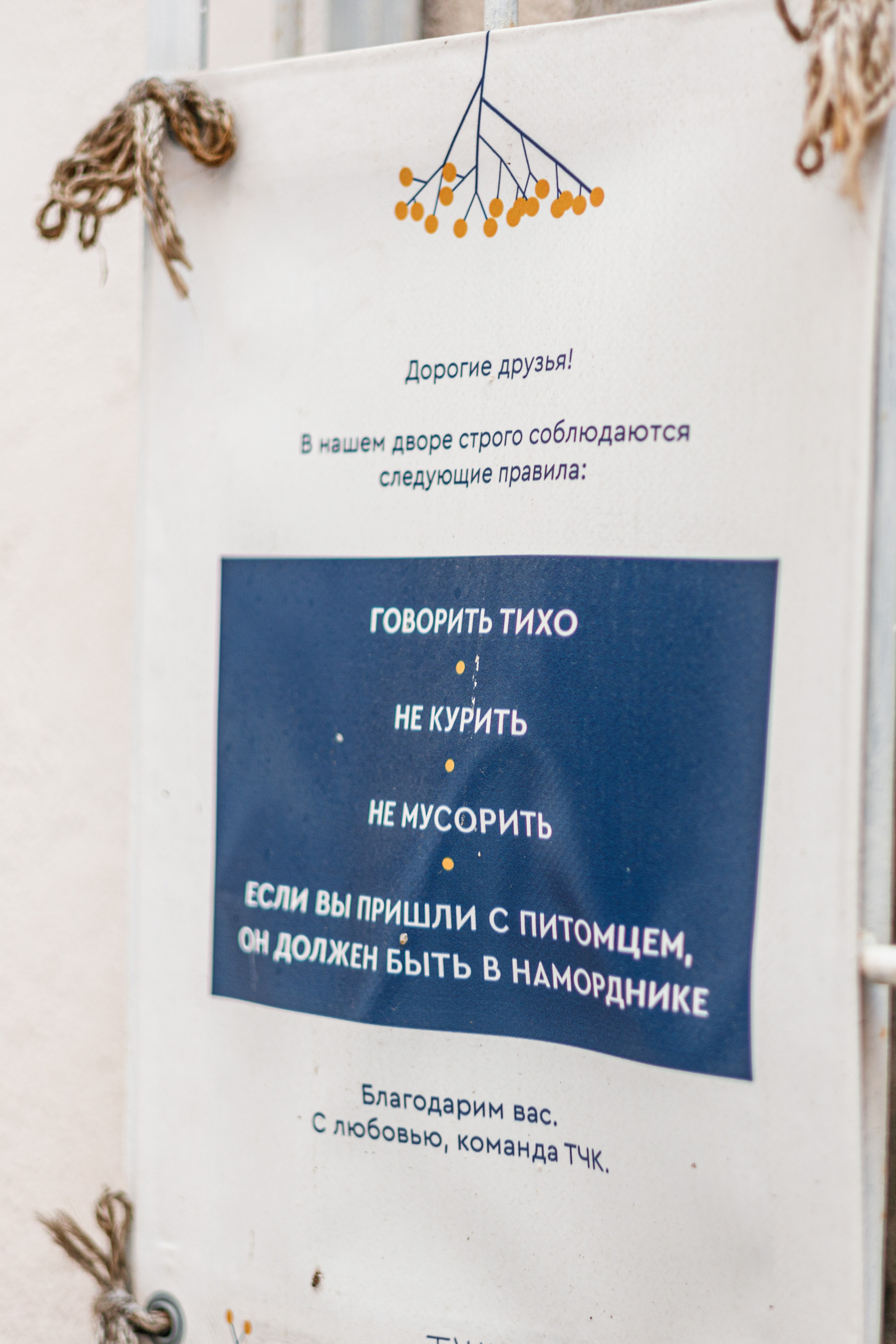 Микрокофейня ТЧК. Фотограф Балаев Михаил