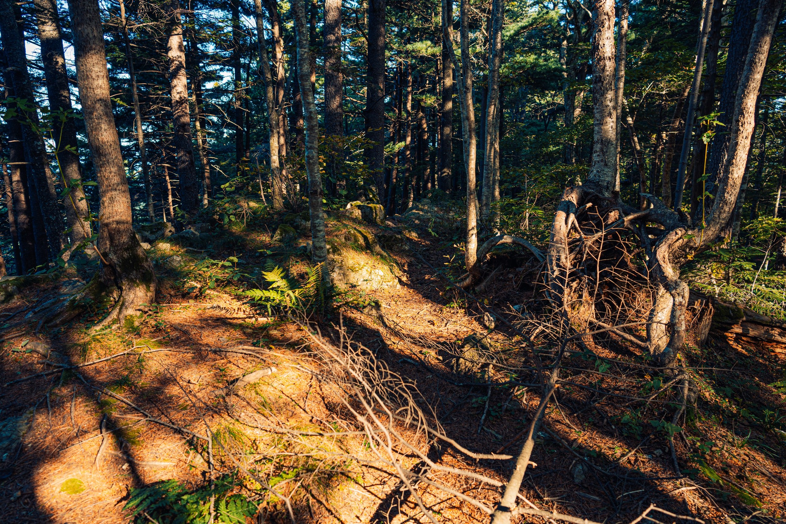 Гора Литовка (Фалаза). Иван Зайцев (IZIART) — создание культурного кода через фото и видео