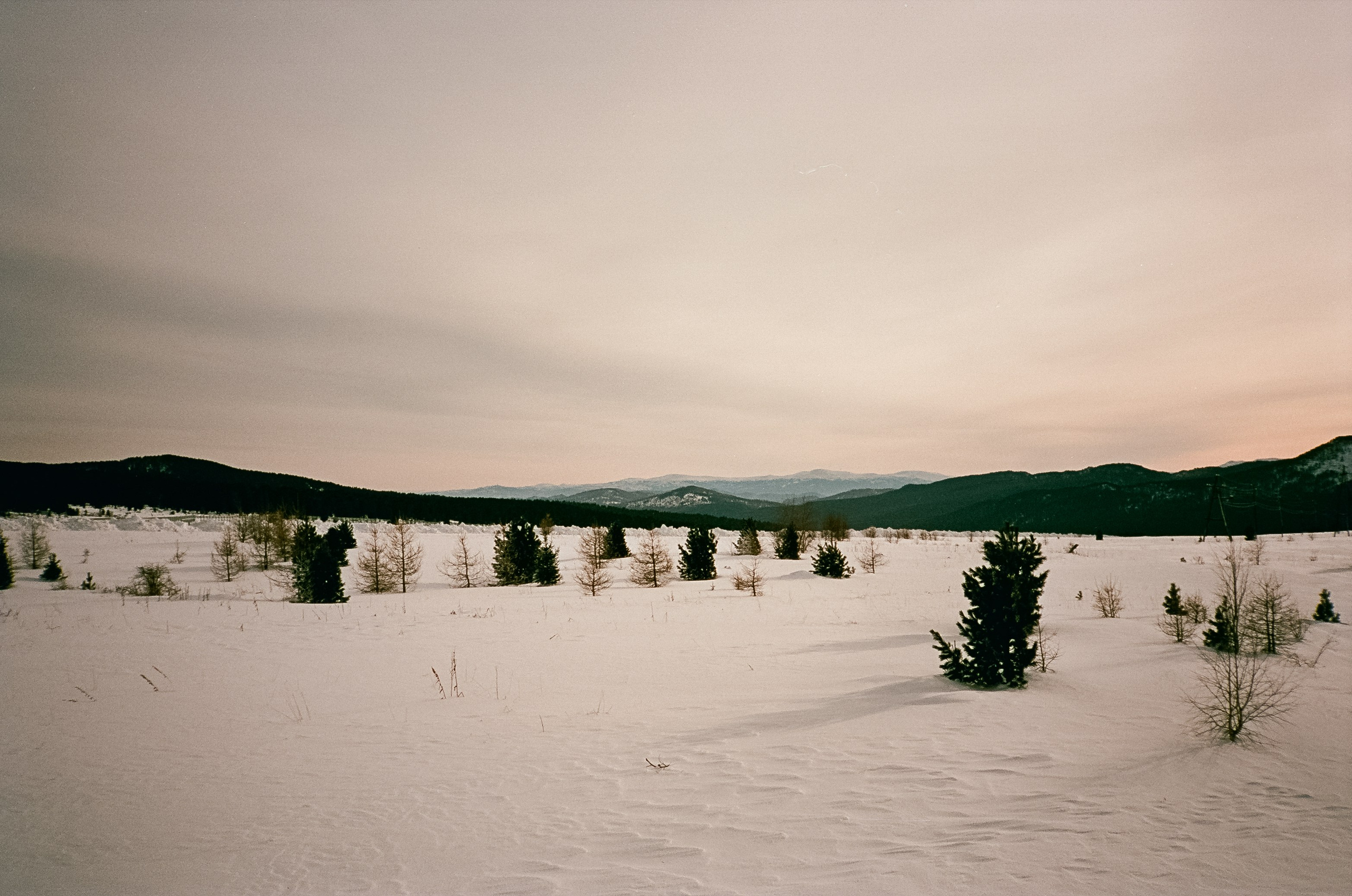 Семинский перевал / 19 декабря 2023 года (-18℃) / Kodak Aerocolor IV