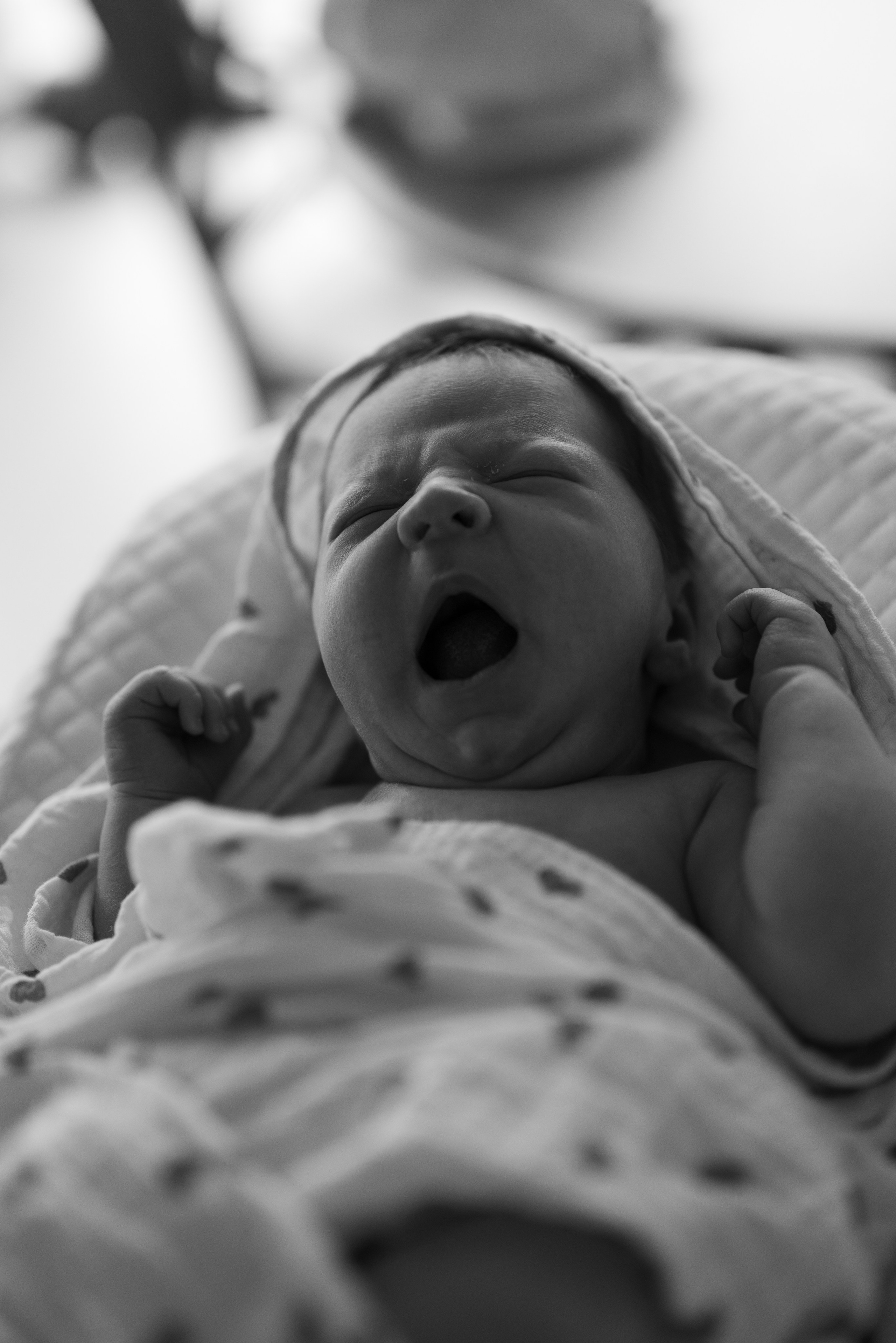 Семейный фотограф в Москве Дарья Пузикова