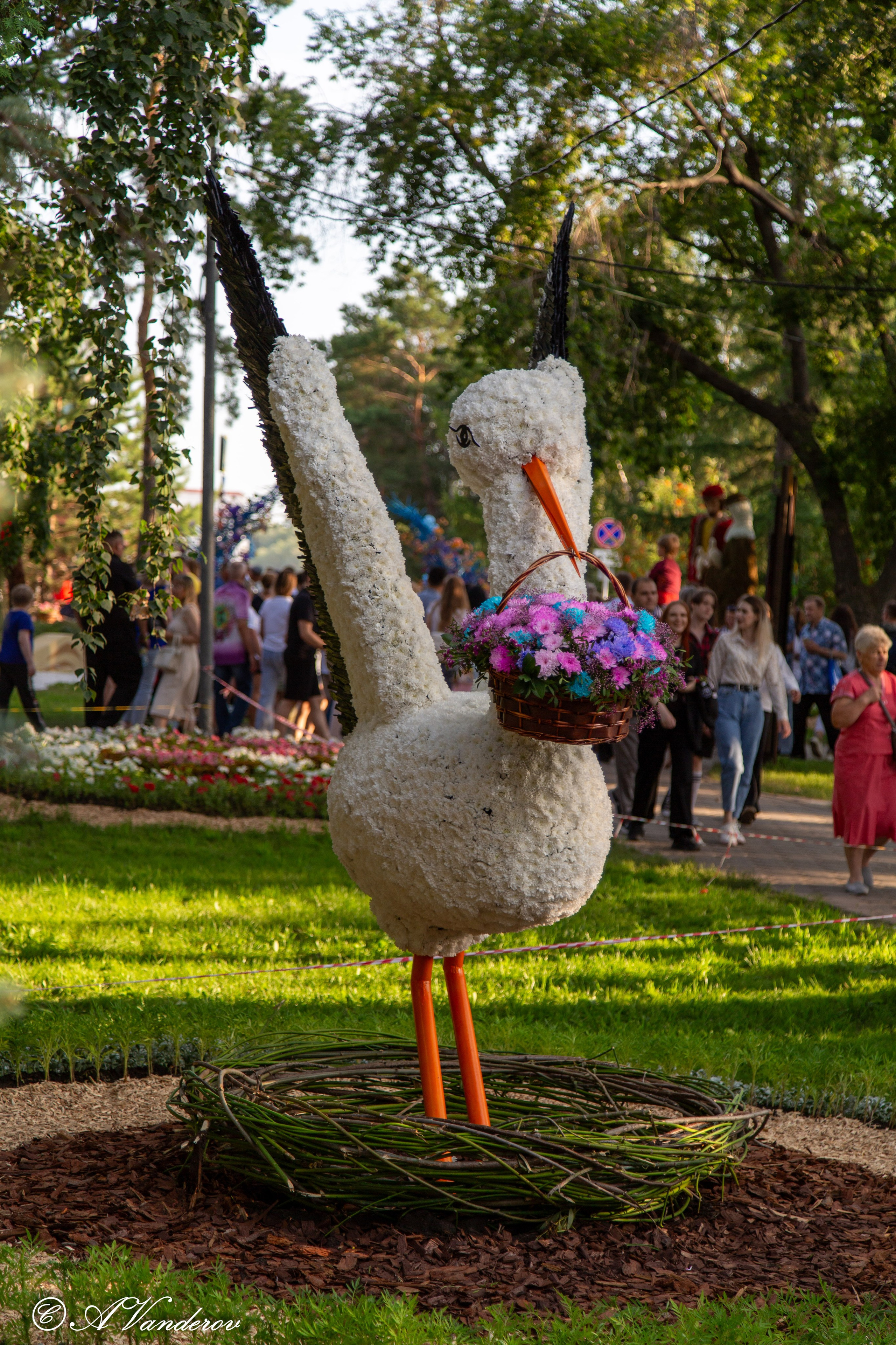 День города 03.08.2024. Фотограф Омск | Александр Вандеров