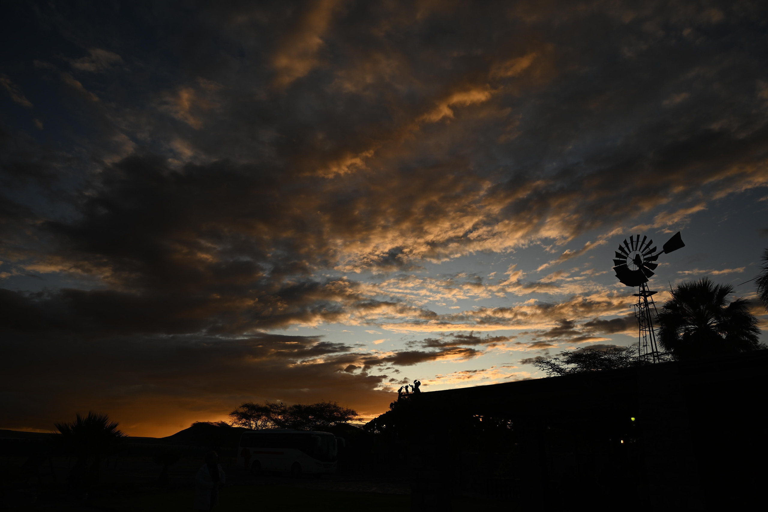 Выставки. Фотограф Дарья Сафонова Dashulkacss