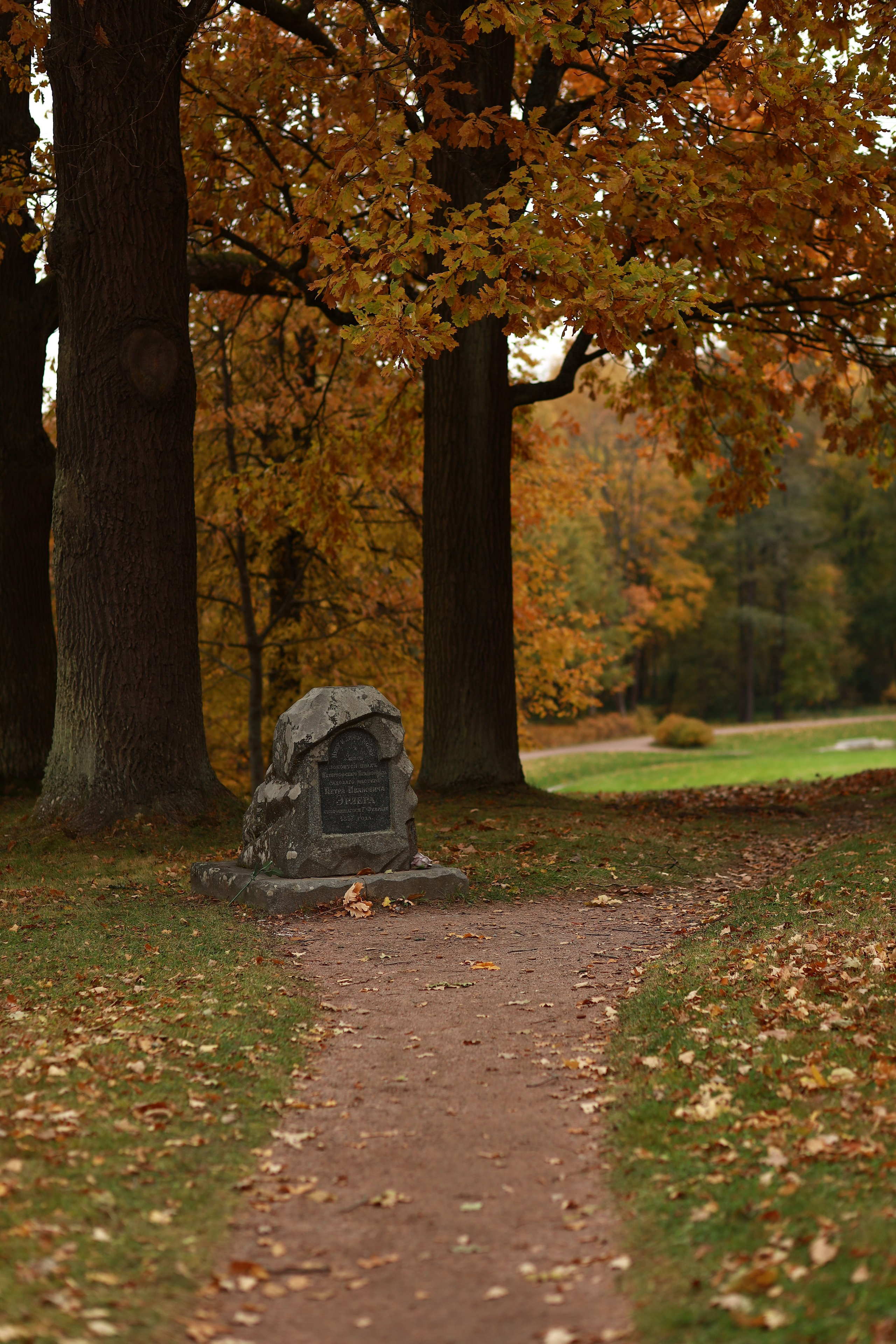 ФОТОСЕССИЯ В ПЕТЕРГОФЕ. ГДЕ СНИМАТЬ В ПЕТЕРГОФЕ