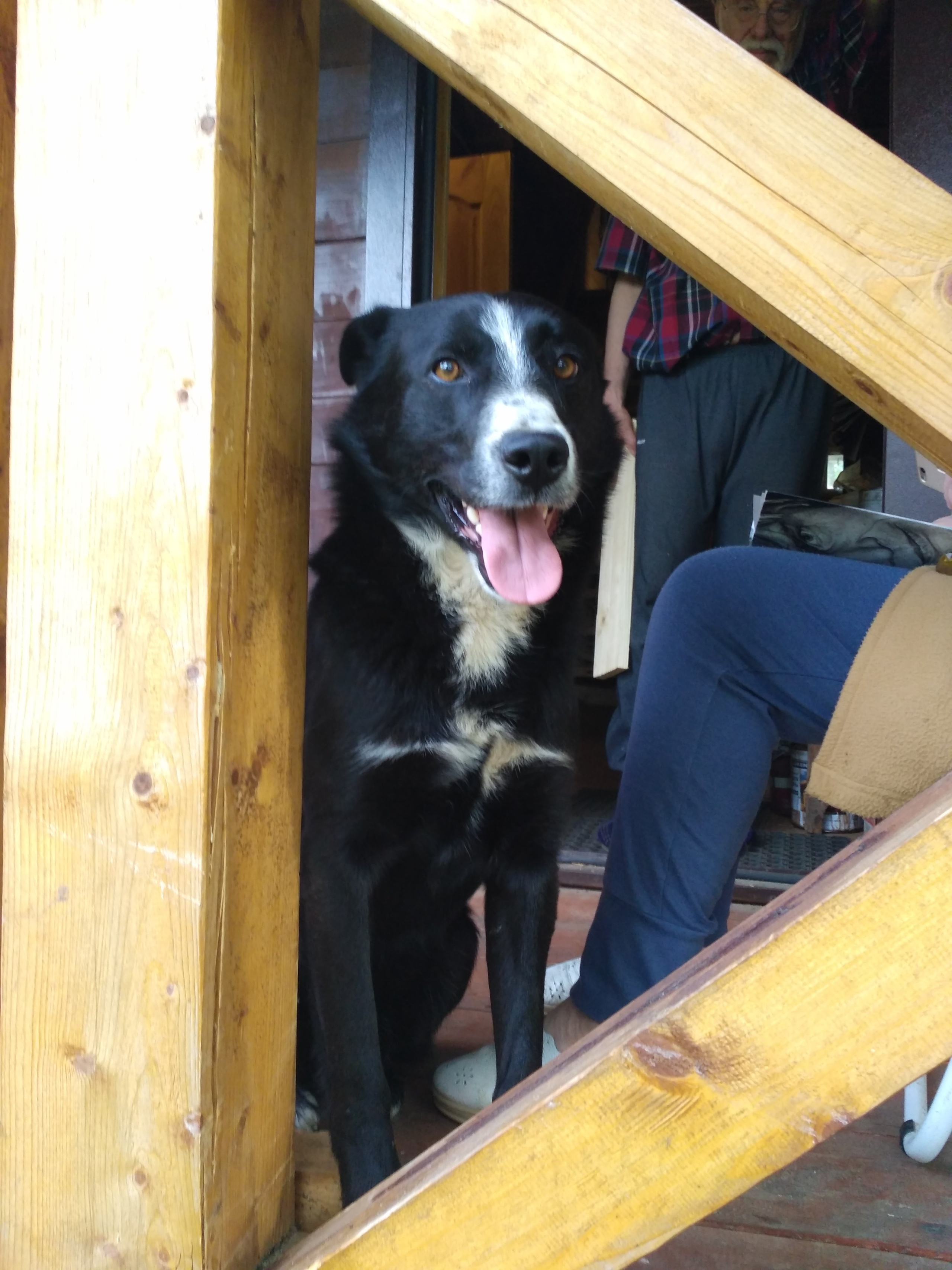 Автор: Екатерина Алхазашвили