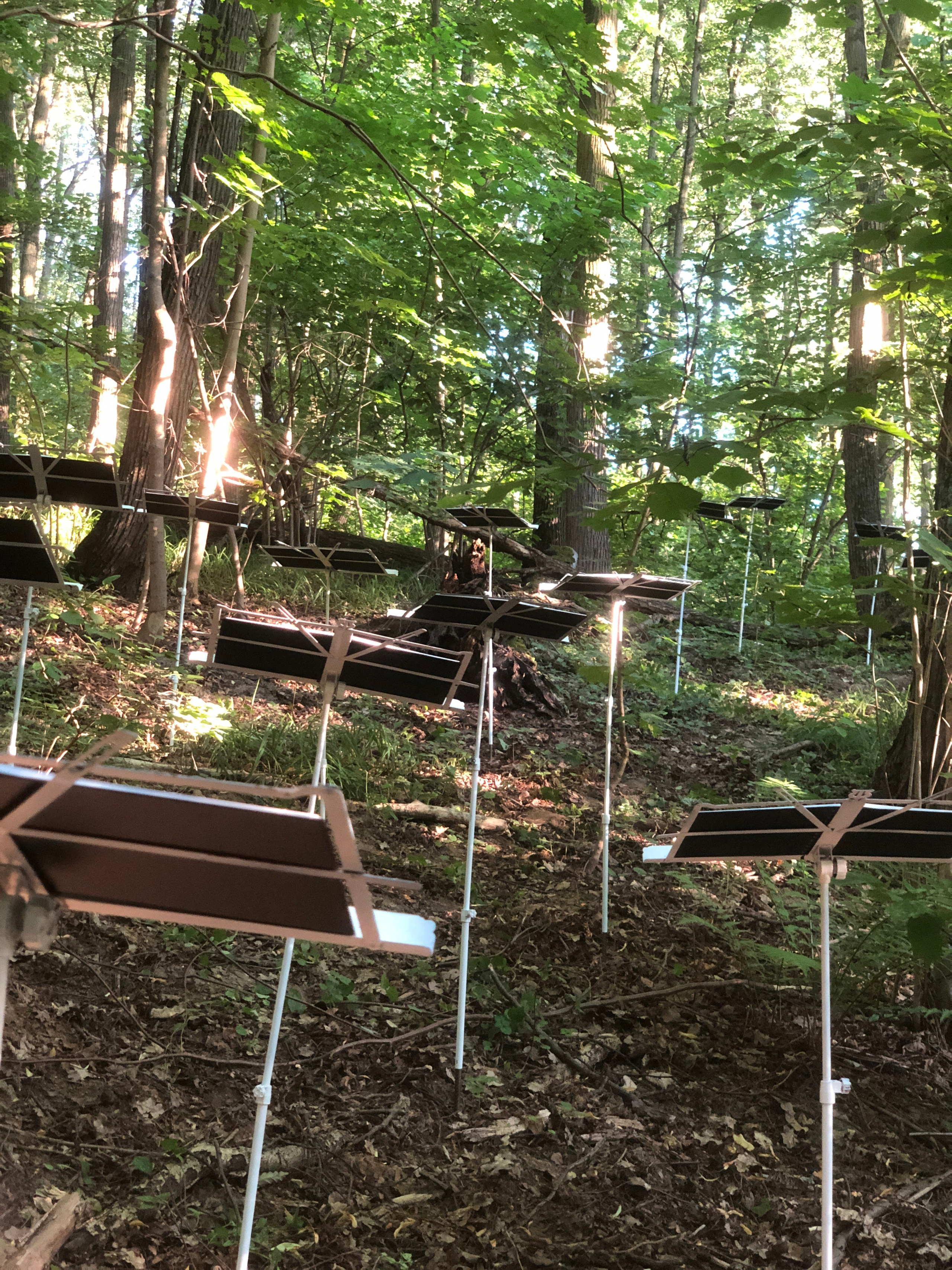 Паблик-арт. Современная художница Елена Алексеева (Alpha_Vita)