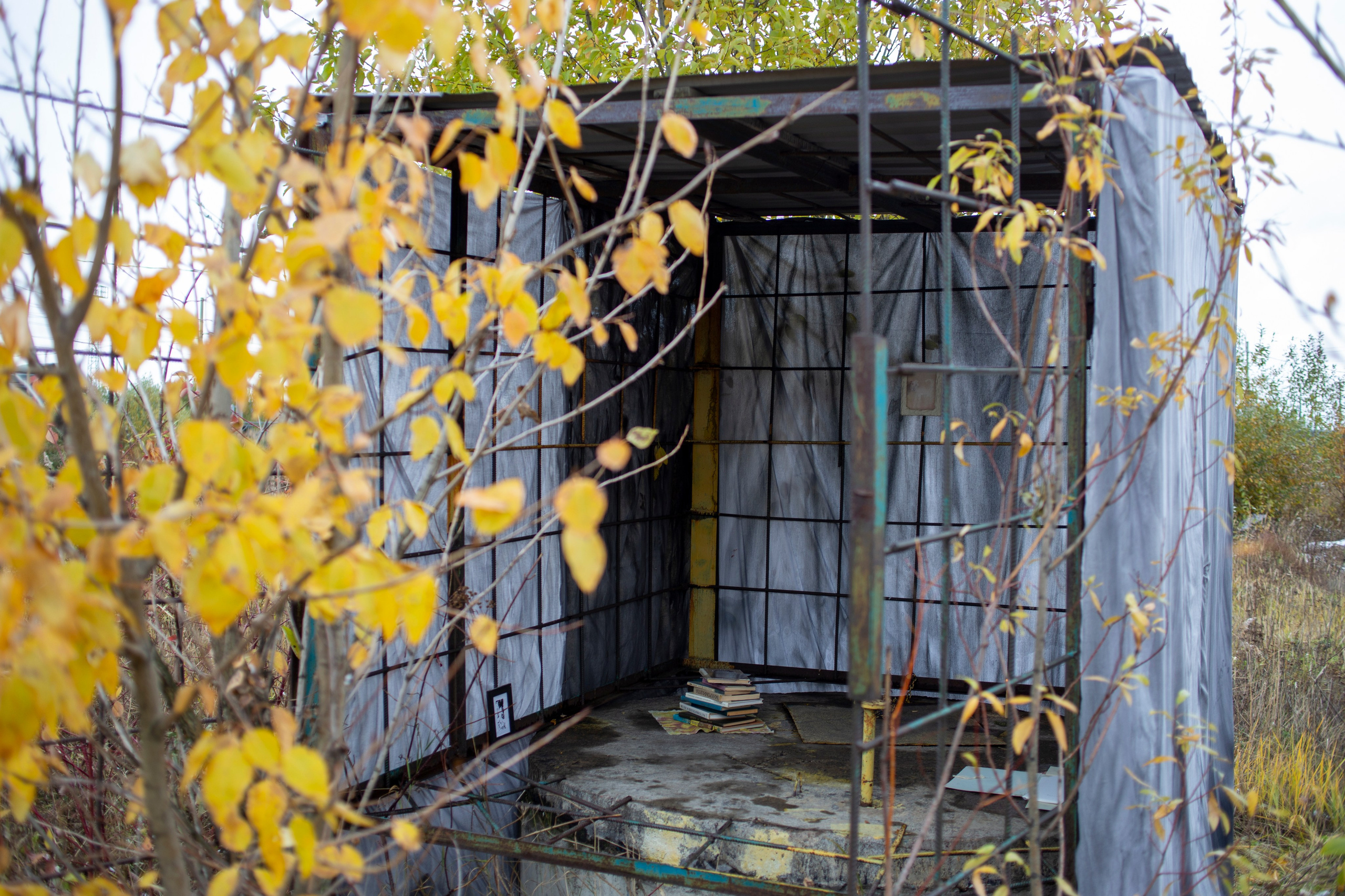 Сумерки речи. Михаил Курганов