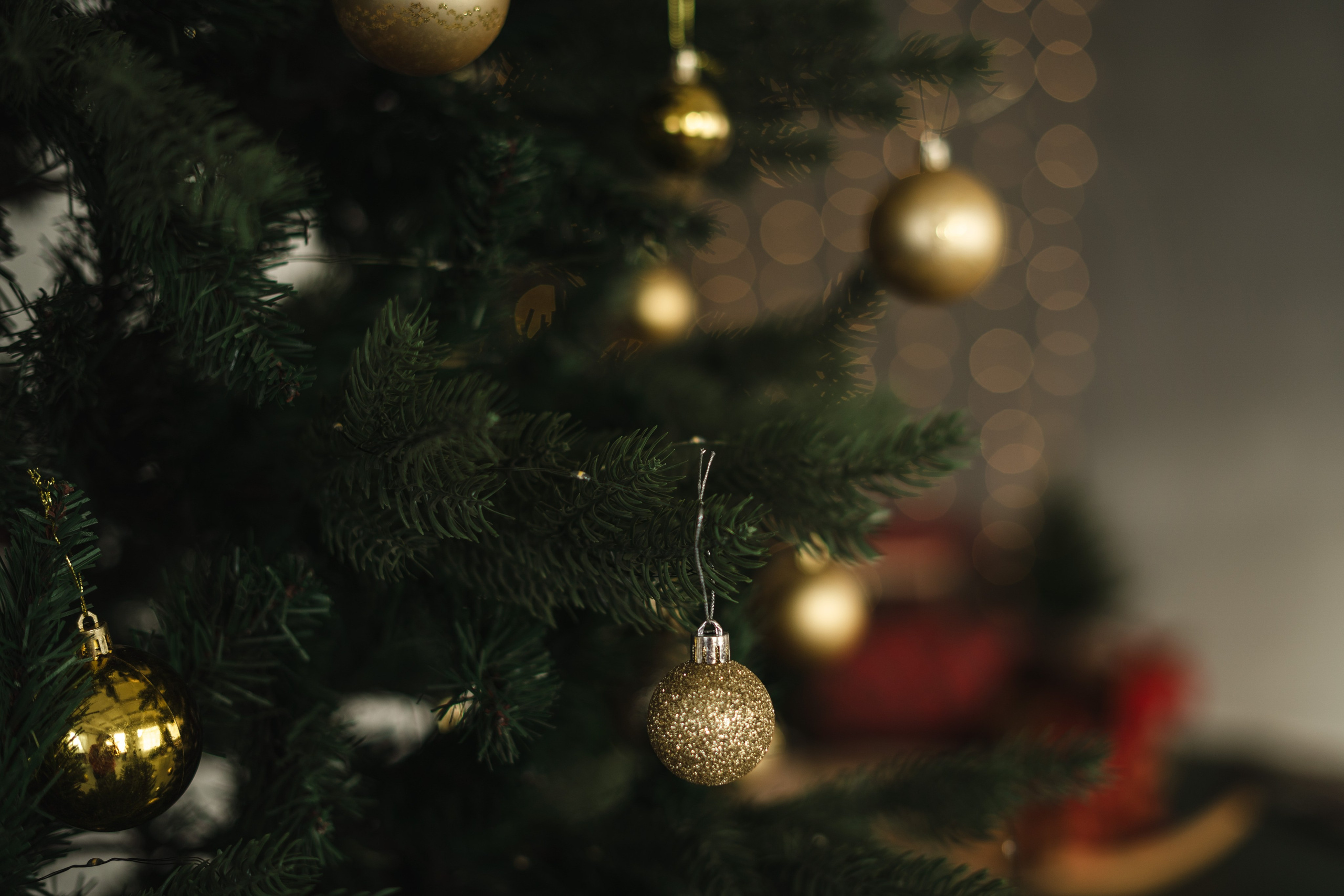 Фотостудия Импульс Новый год 2026 зал Life Лайф