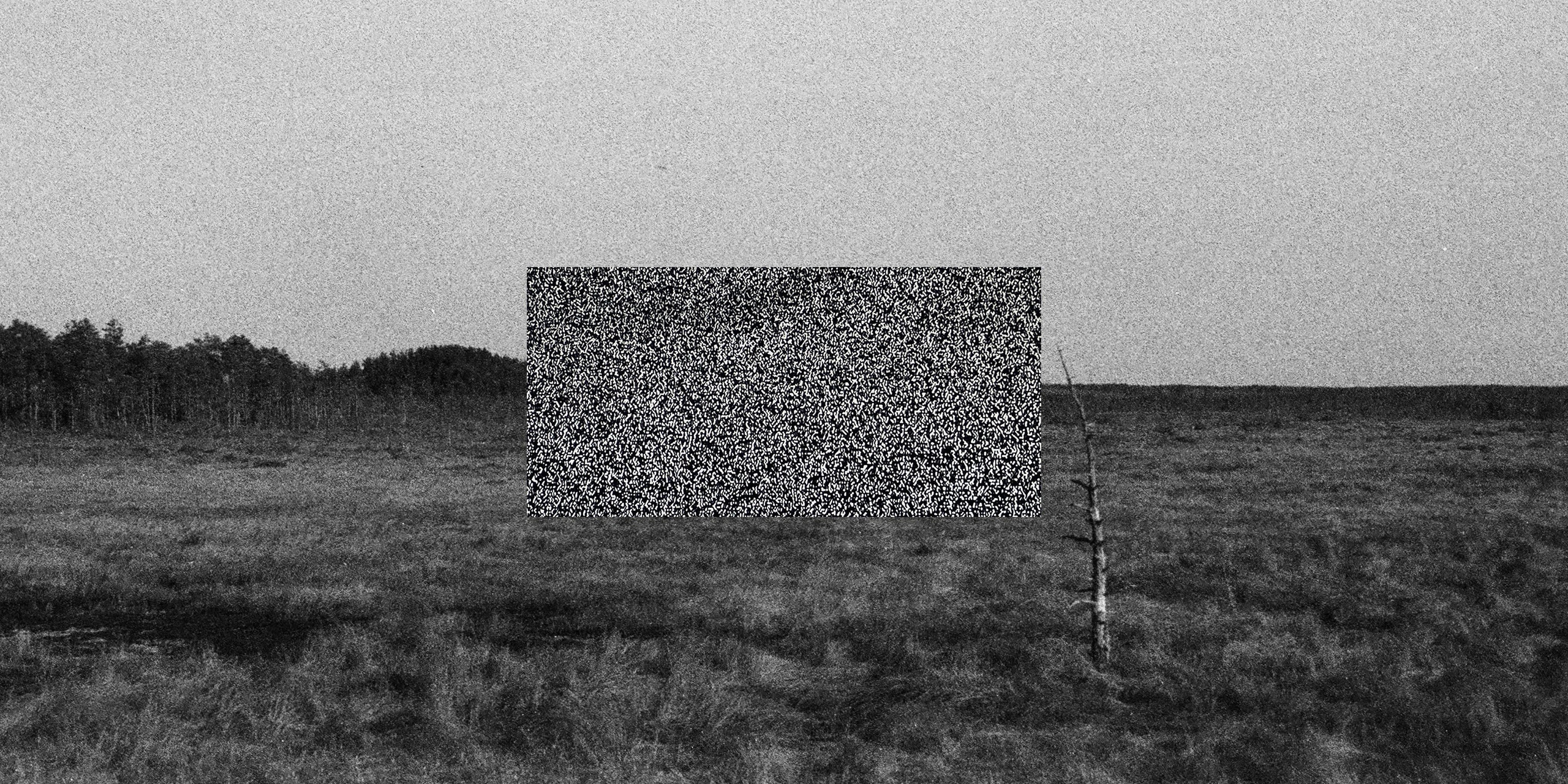 Шум. Катрин Эдельвак