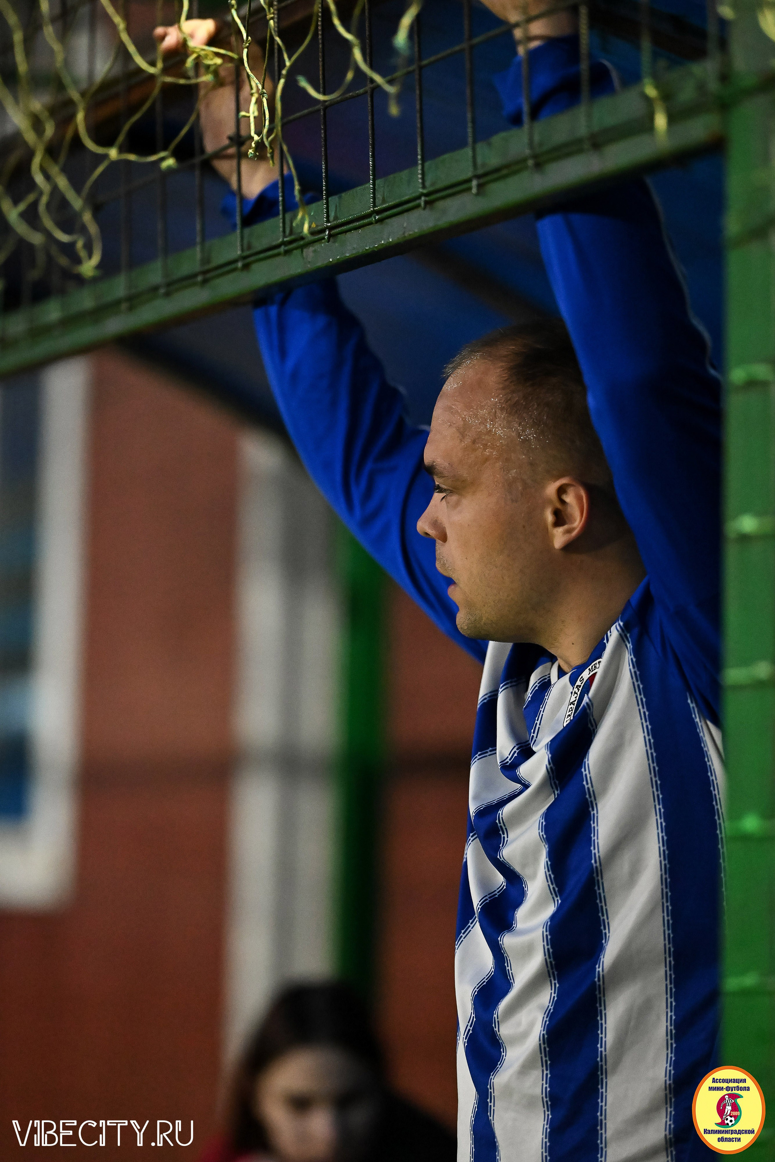 ИГРЫ МИНИ-ФУТБОЛЬНОЙ ЛИГИ. VIBECITY.RU Вайб Сити Ру Фоторепортажи Фотоотчеты Калининград