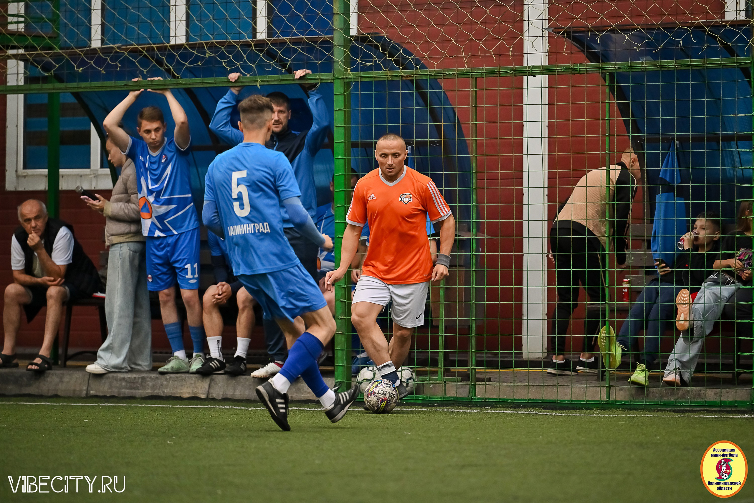 ИГРЫ МИНИ-ФУТБОЛЬНОЙ И КОРПОРАТИВНОЙ ЛИГИ. VIBECITY.RU Вайб Сити Ру Фоторепортажи Фотоотчеты Калининград